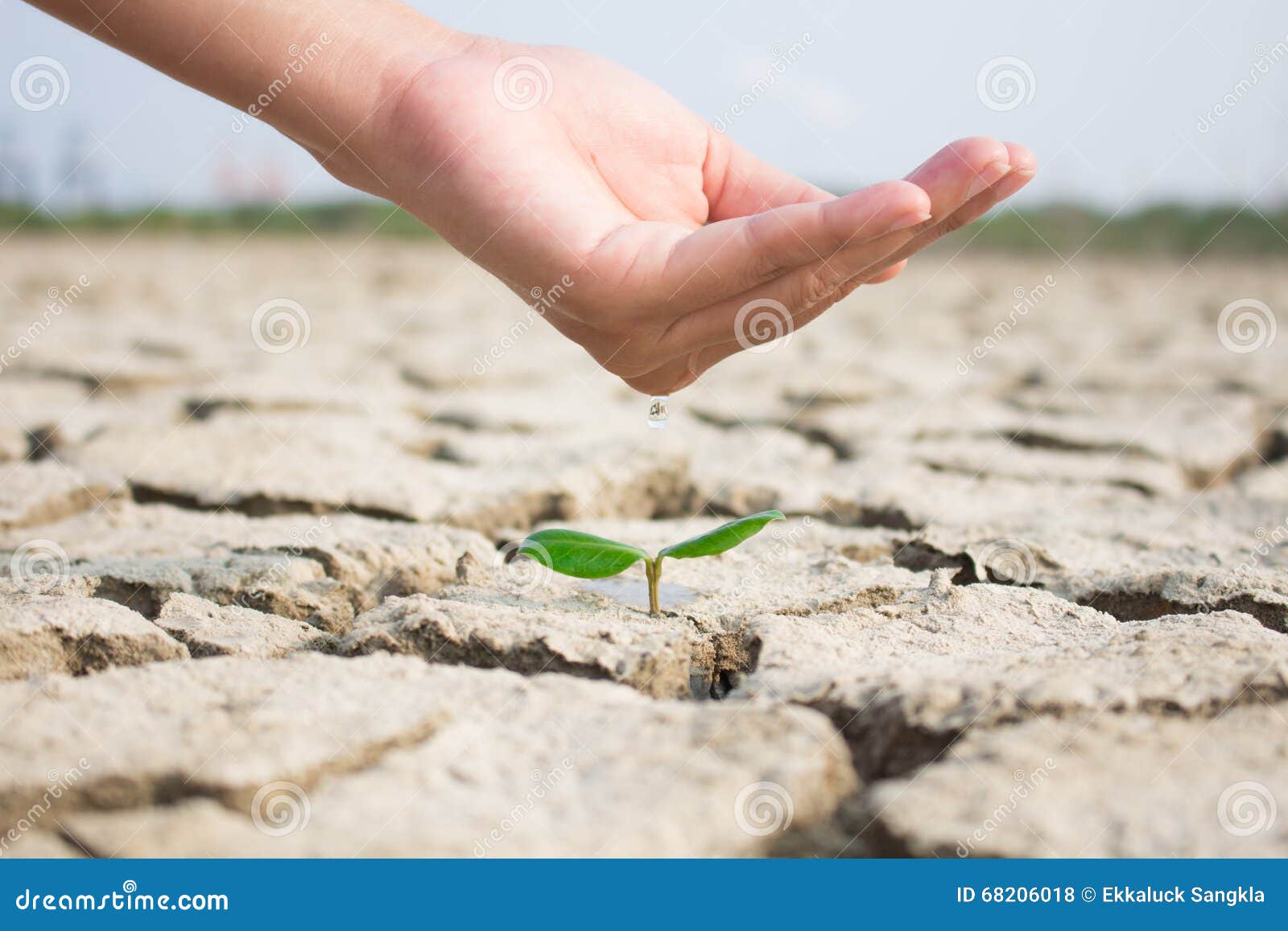 To Protecting Plants, Protecting Our Lives Stock Photo Image of