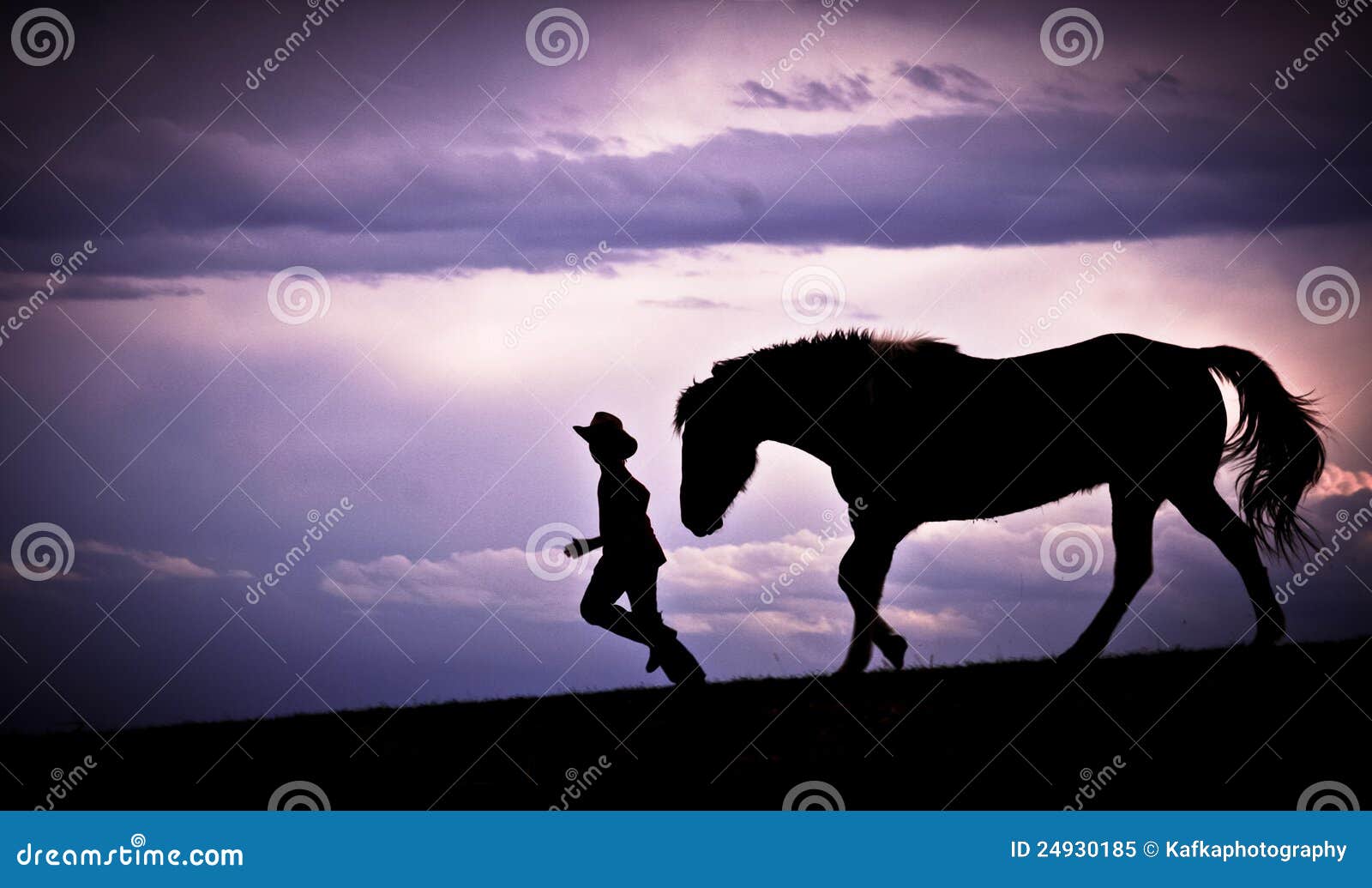 To Run with Horses stock image. Image of clouds, space 24930185