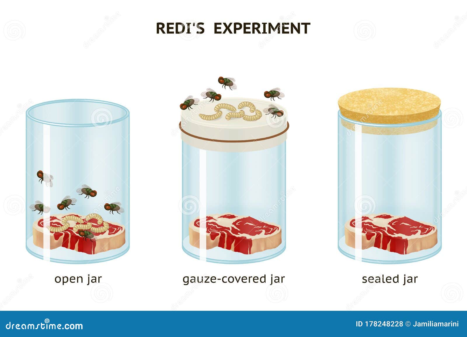 hypothesis of spontaneous generation redi