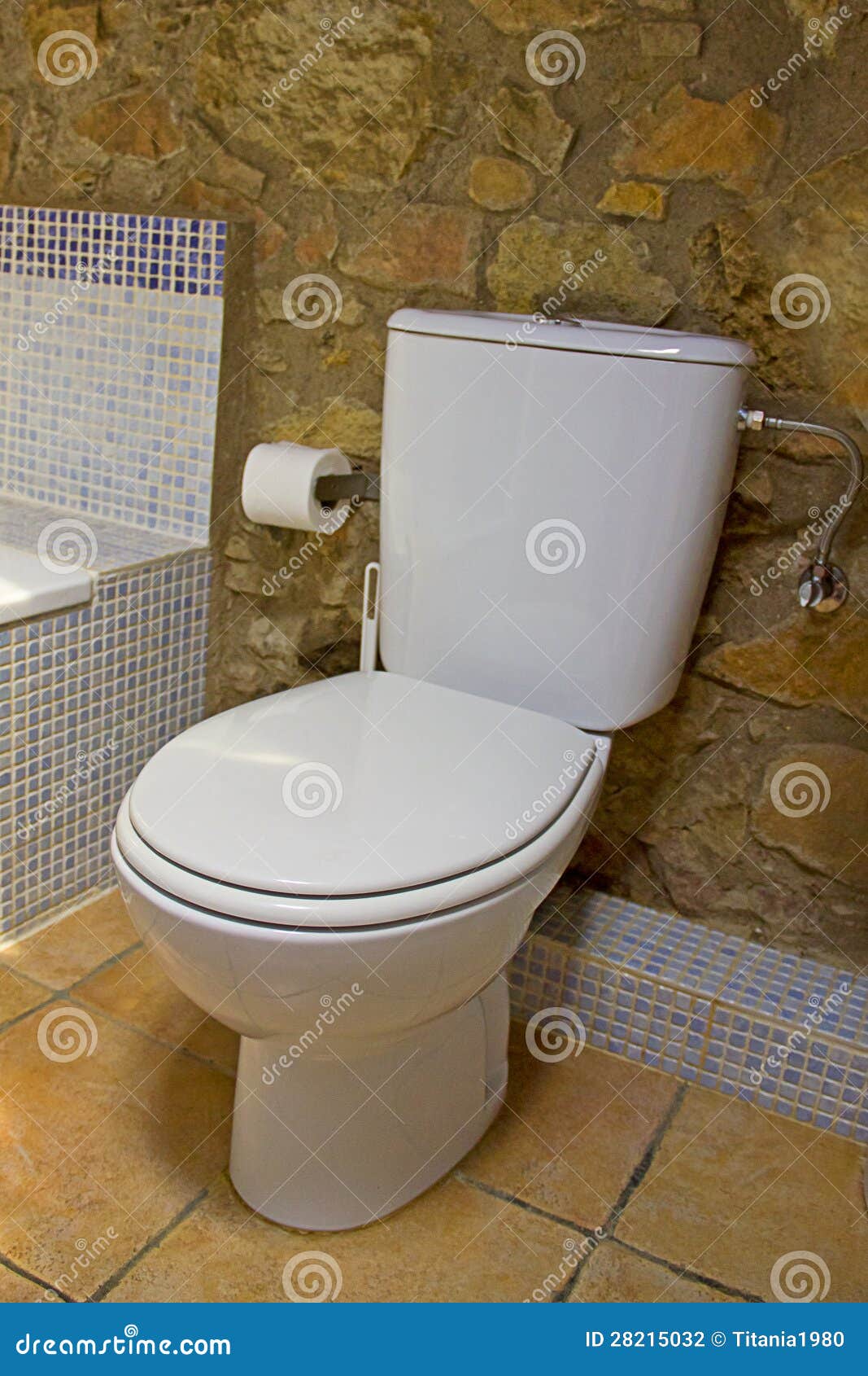 Toalett i en badrum arkivbild bild: 28215032
