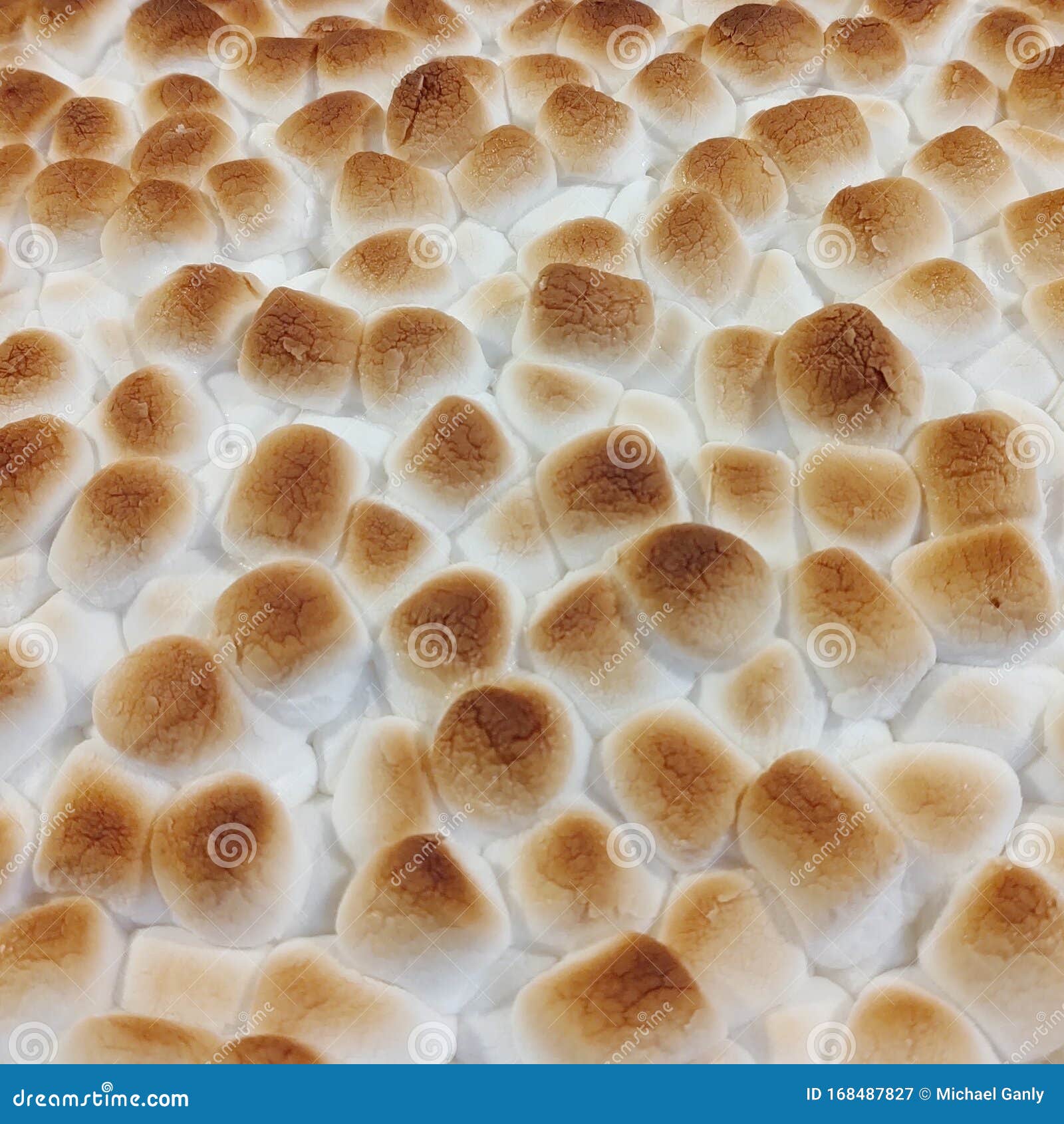 Toasted marshmallows stock image. Image of cooking, toasted 168487827
