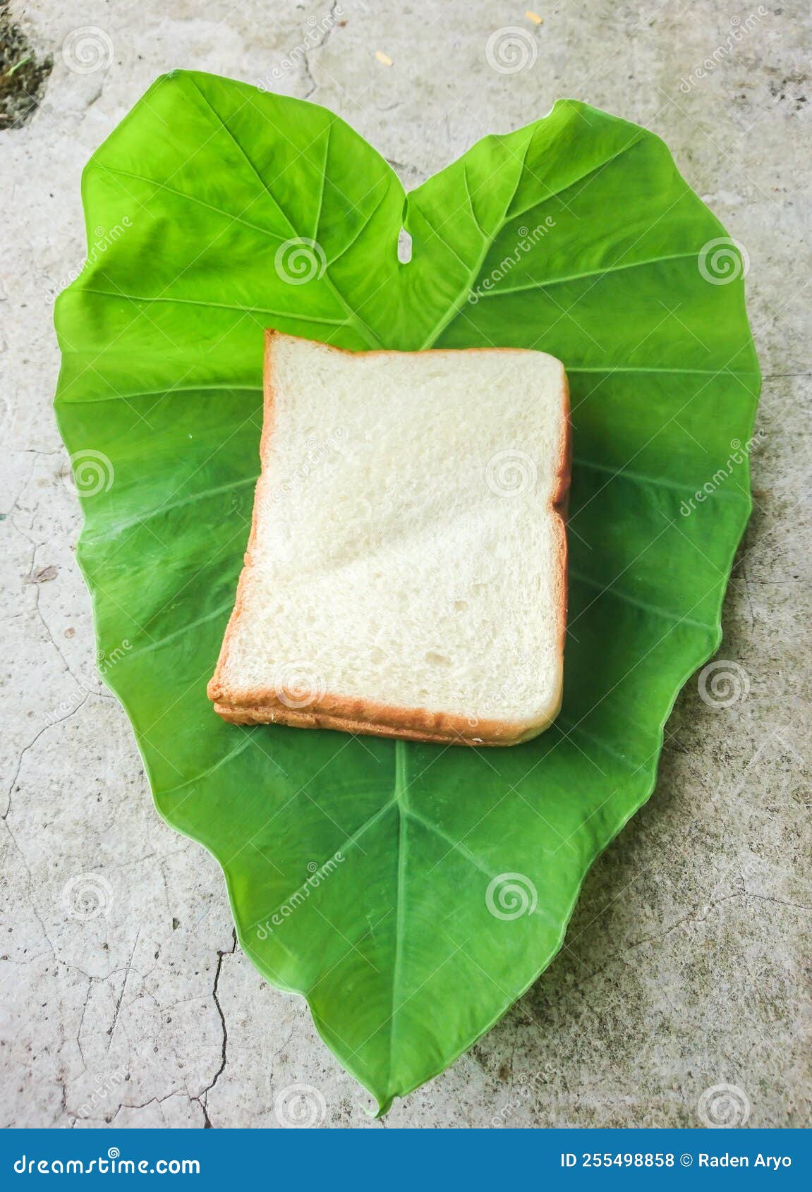 Toasted Sandwich Placed on Green Taro Leaves Stock Photo Image of