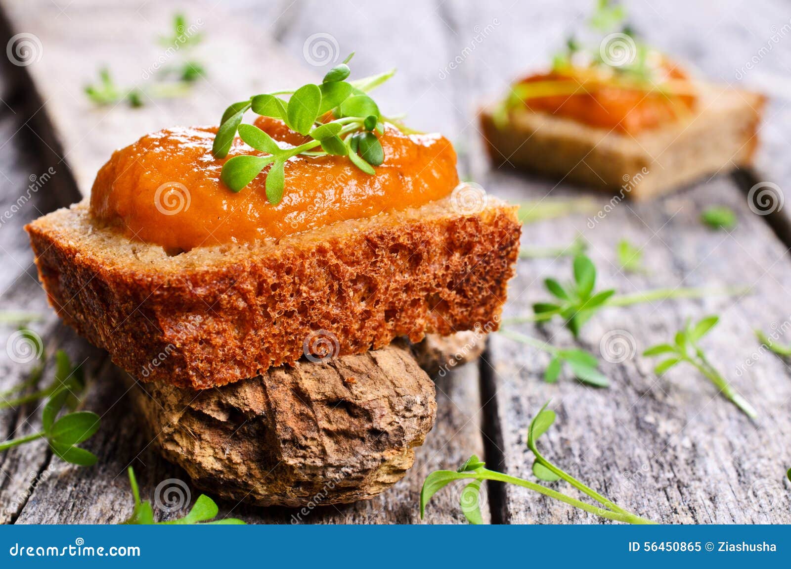 Toasted with Vegetable Caviar Stock Image Image of diet, eating 56450865