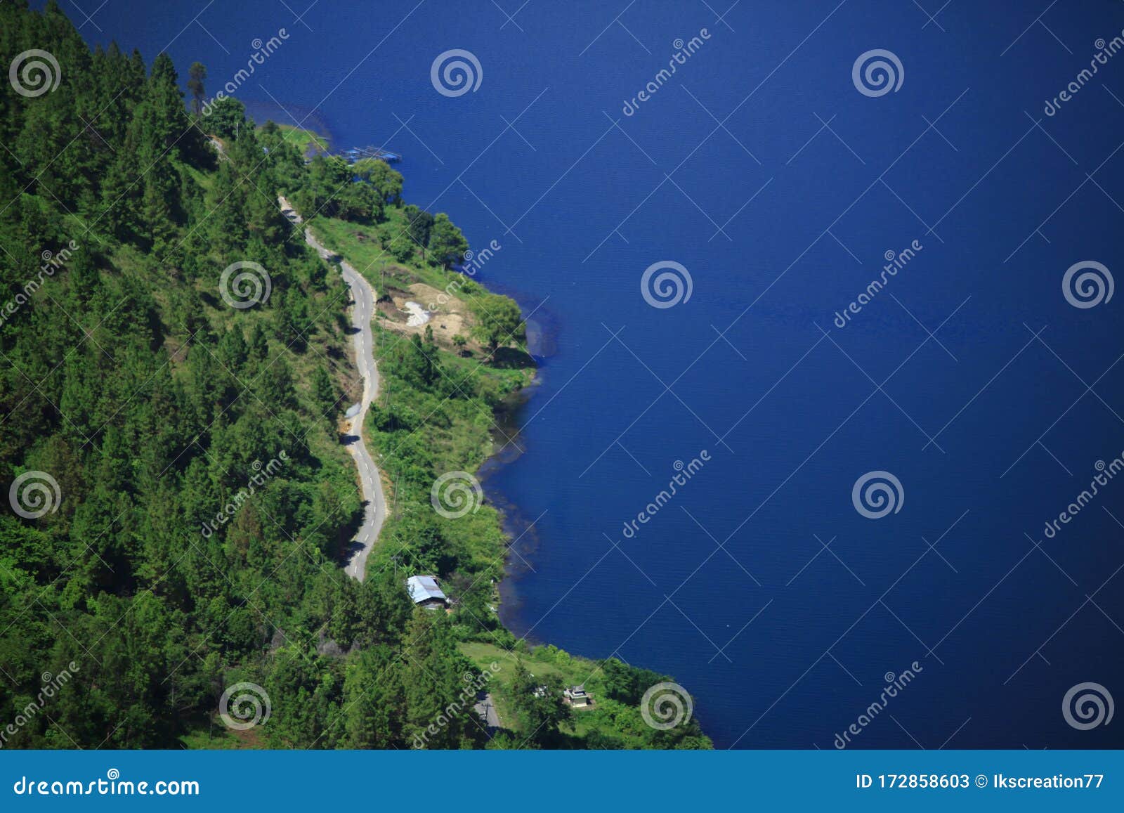 pine forest in toba lake, north sumatra, indonesia
