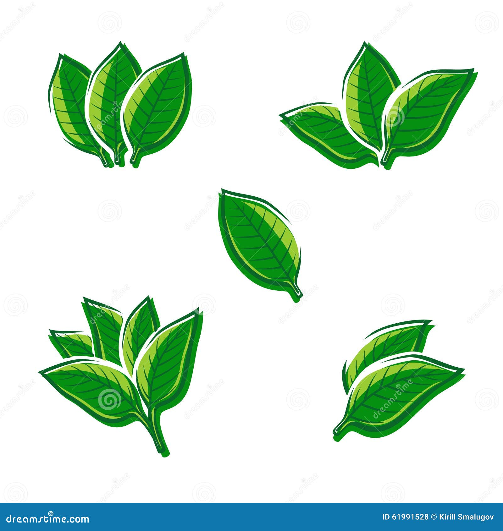 tobacco leaf set. 