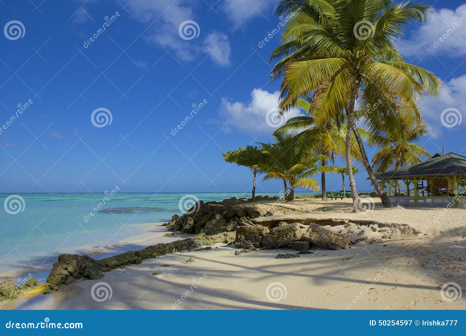 tobago beach, caribbean