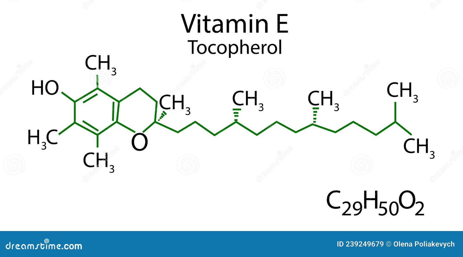 Tocopherol Skeletal Formula Vitamin E Molecular Structure Scientific