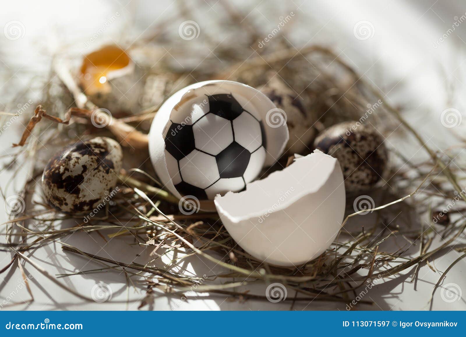 Todavía Del Fútbol En El Sol De La Mañana Imagen de archivo - Imagen de codornices, objeto: 113071597