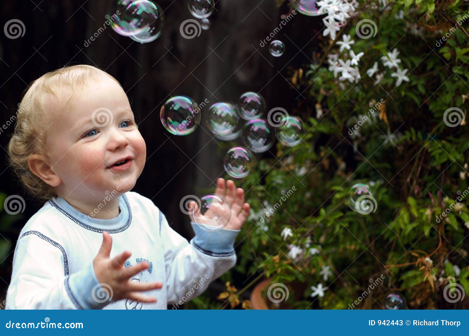 Toddler Boy Playing with Bubbles Stock Image Image of play, plant 942443