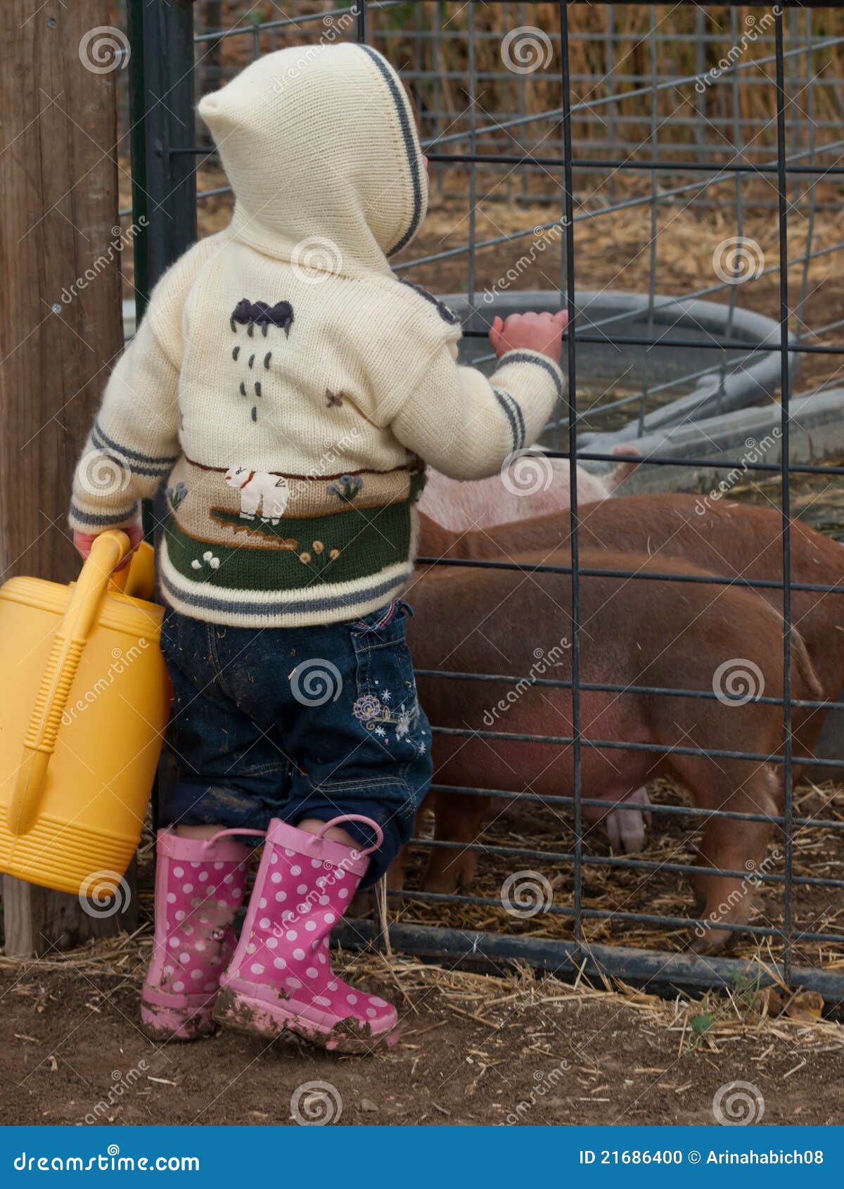Toddler on the Farm stock photo. Image of young, feeding 21686400