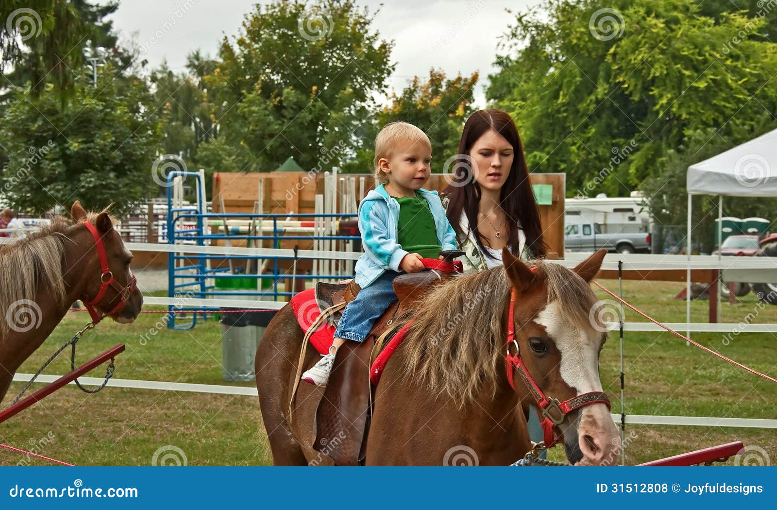 toddler ride on pony