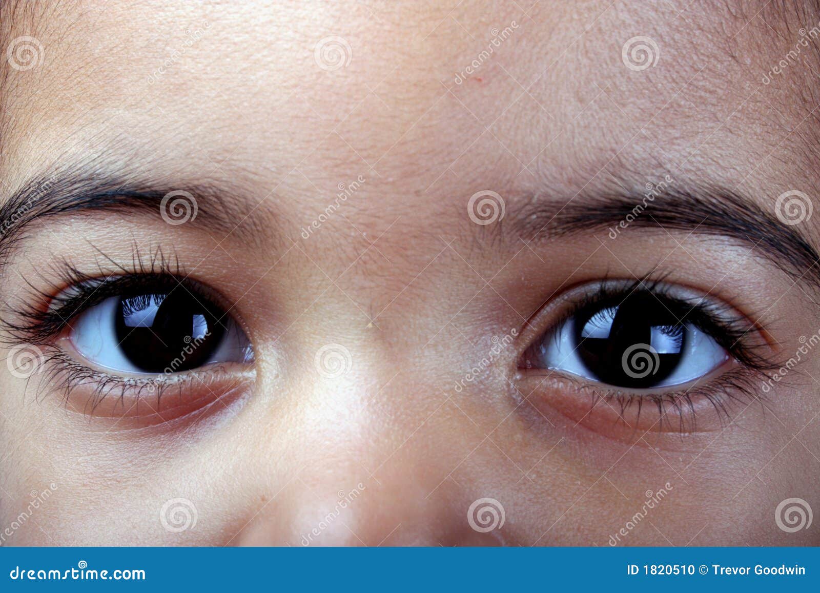 Toddler?s Eyes stock photo. Image of young, baby, girl 1820510