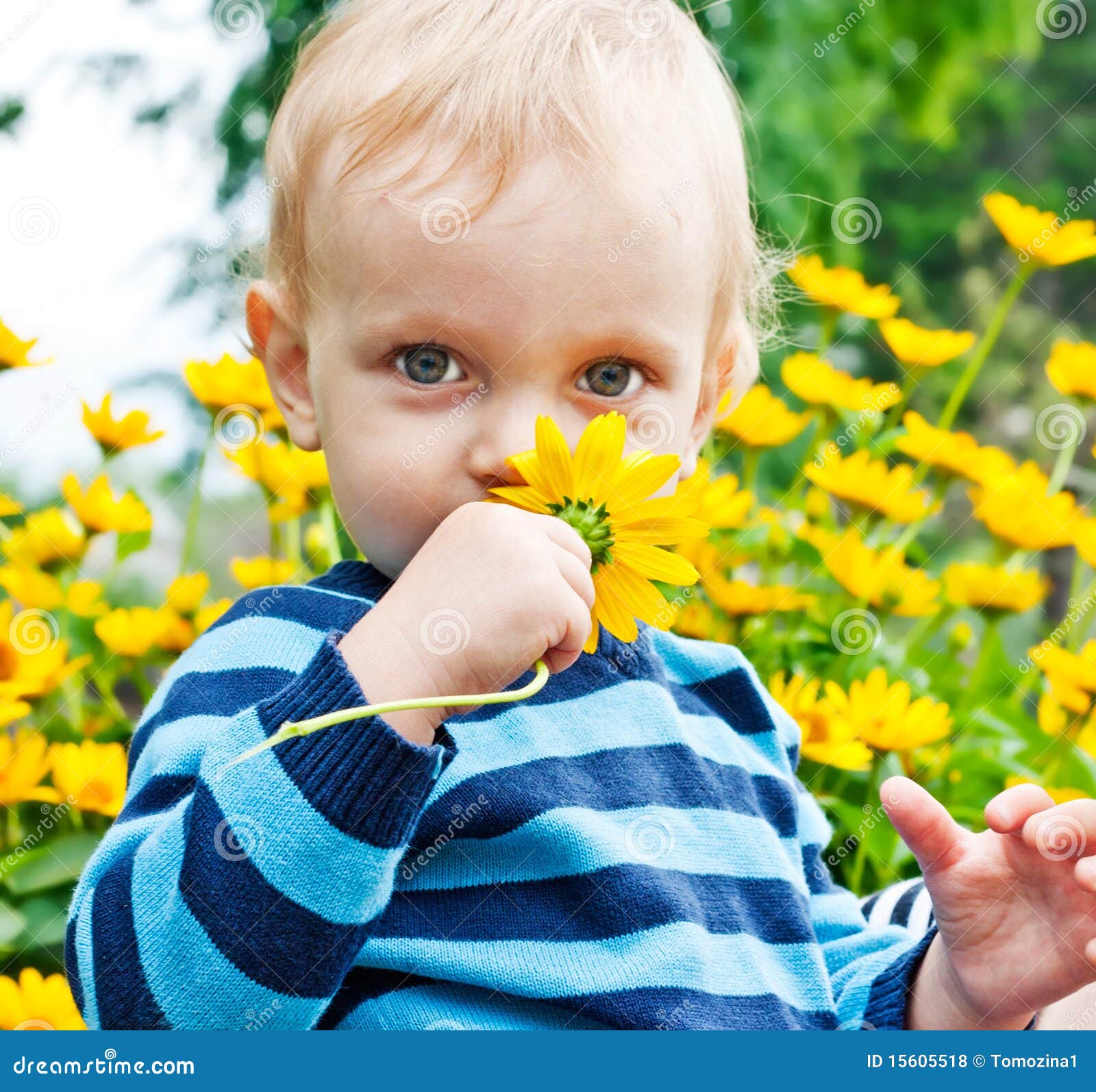 Toddler Smells Yellow Flower Stock Photo Image of close, outdoors