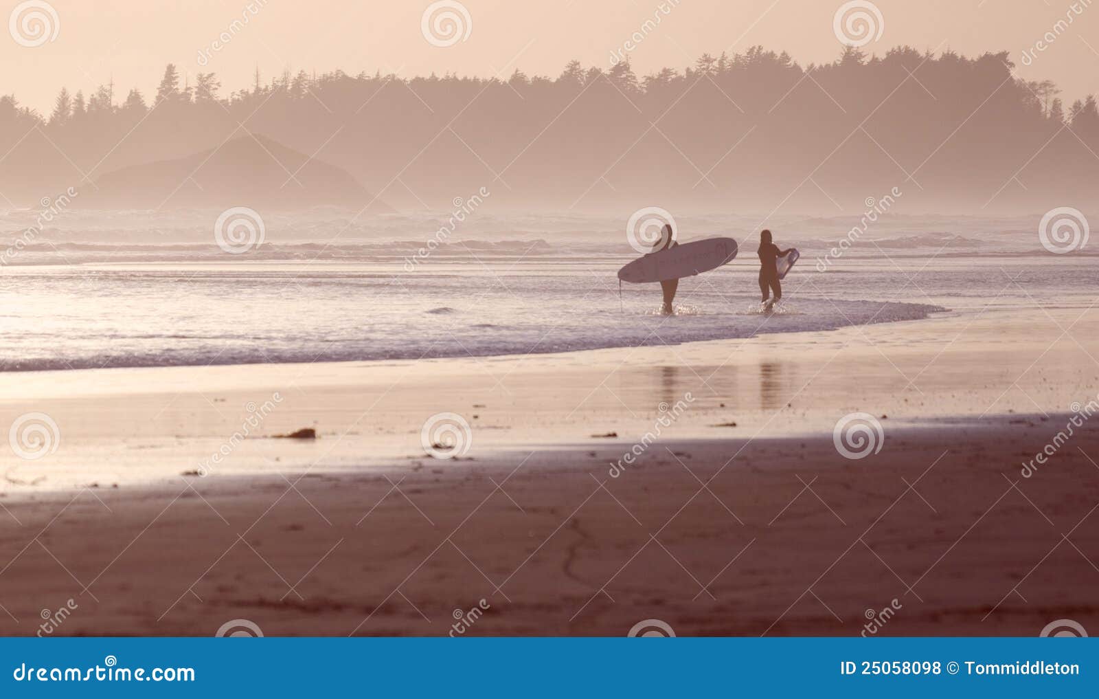 tofino surfers at sunset