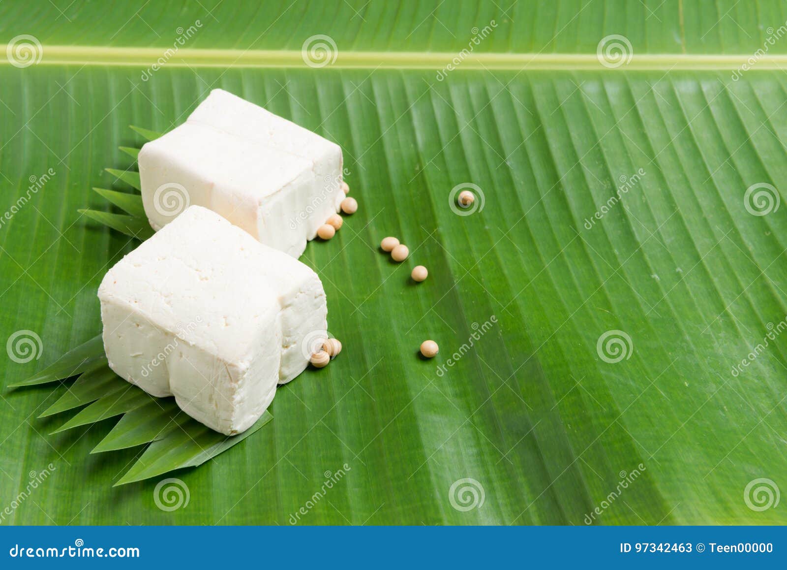Tofu are a Good Source of Protein Stock Image - Image of cooking