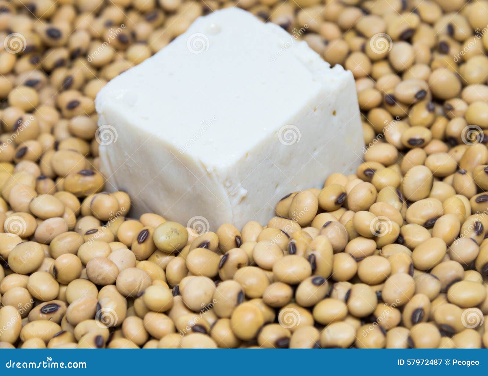 Tofu on soybeans stock image. Image of glass, diet, milk 57972487