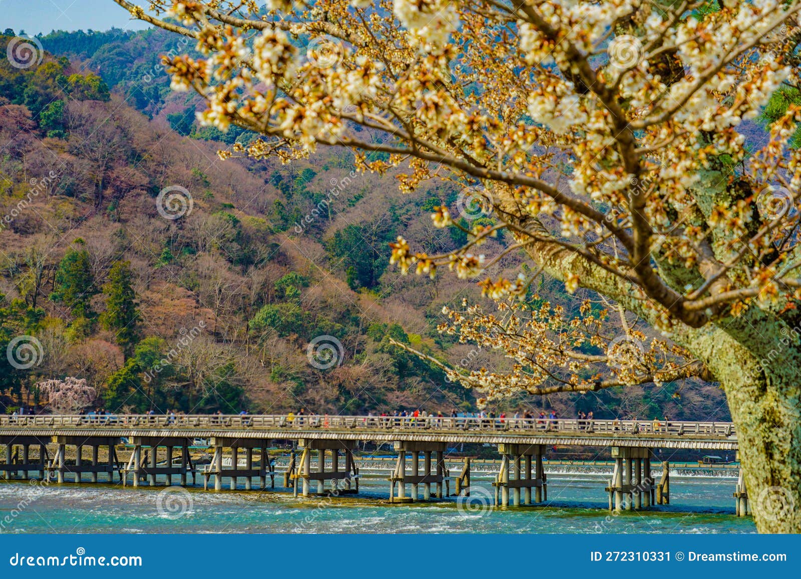 Togetsu Bridge (Kyoto) stock image. Image of kyoto, japan 272310331