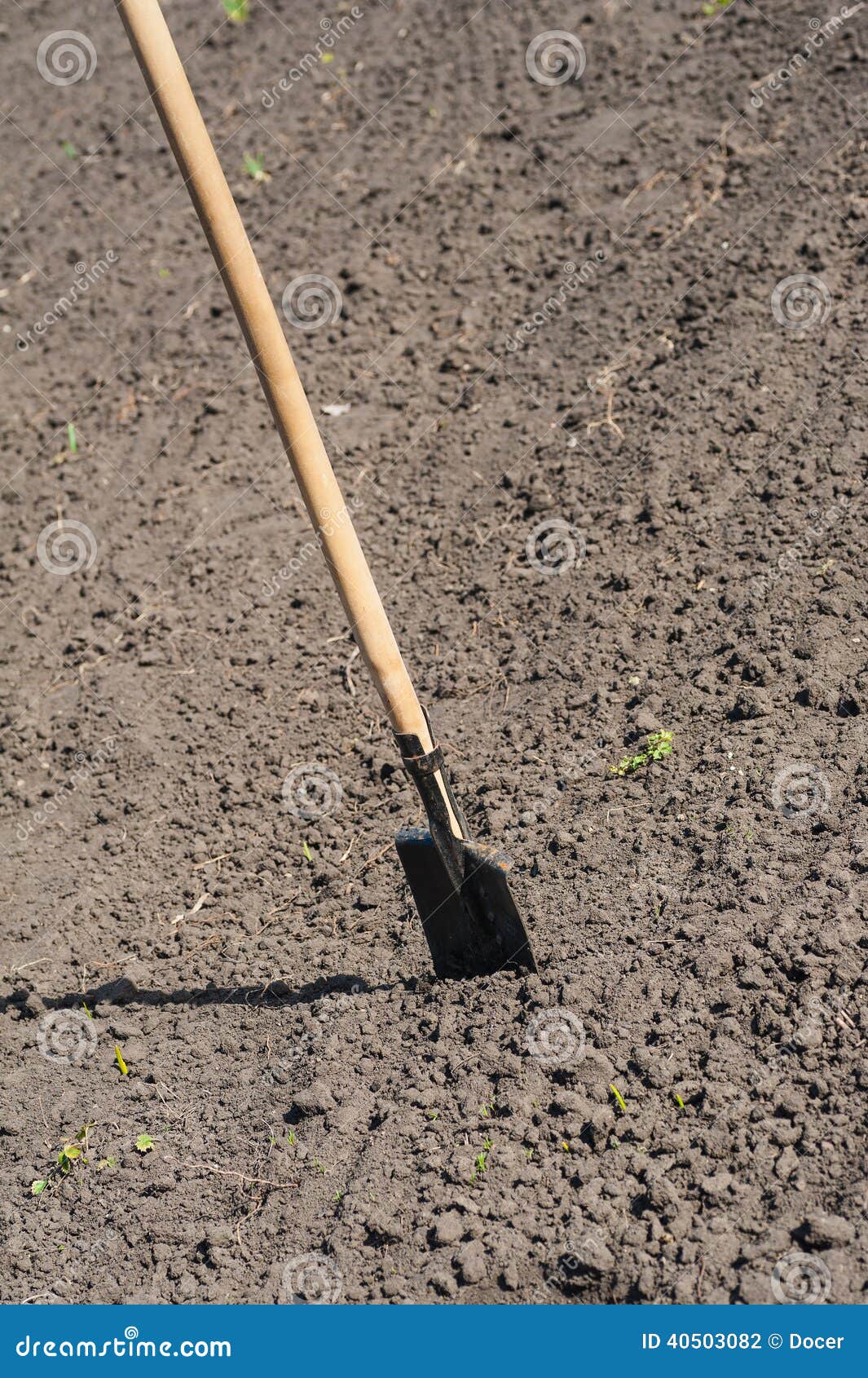 Toil Work of Ground. Spade Insert Soil Stock Photo Image of cultivate