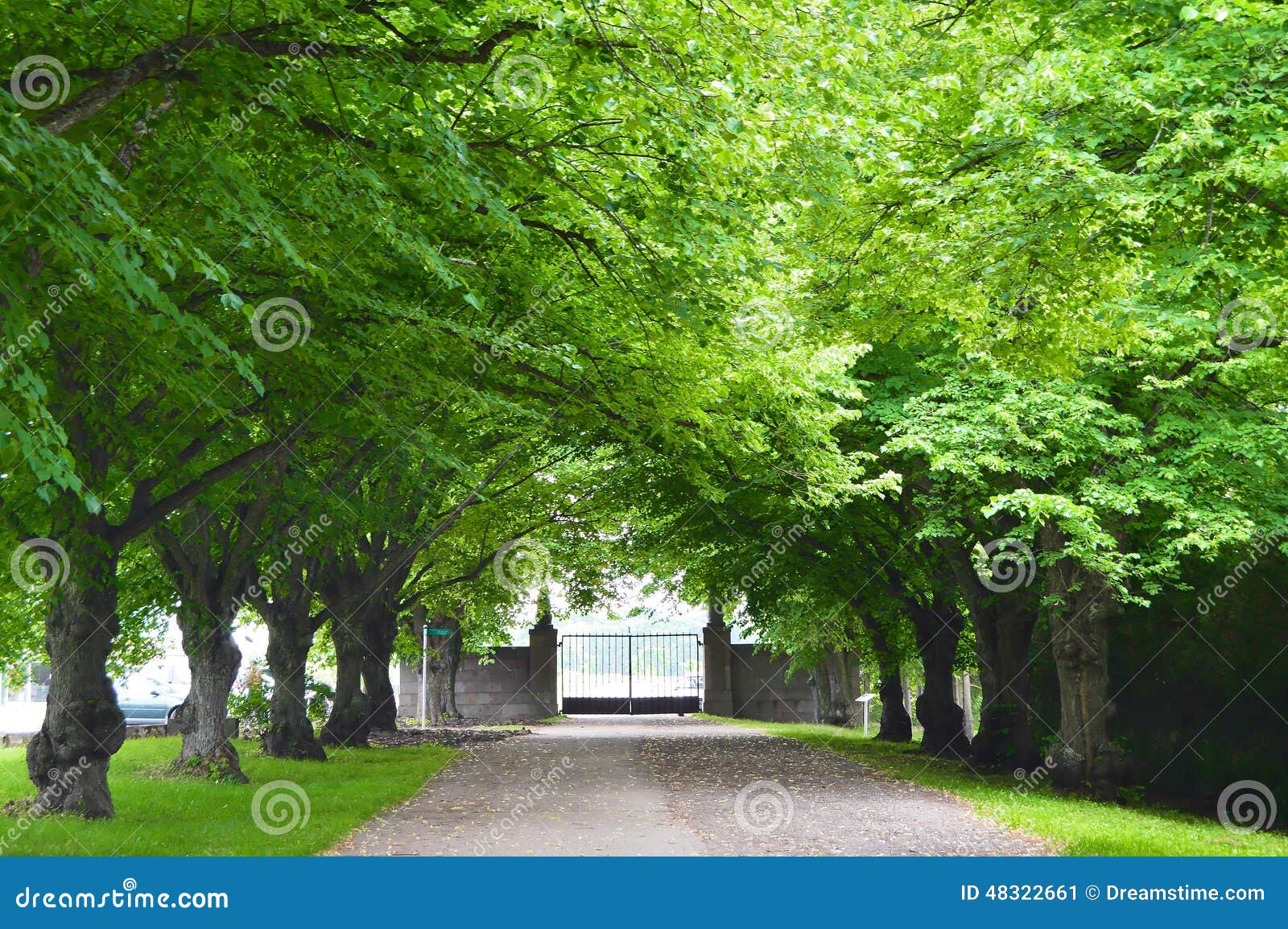 toila park in estonia