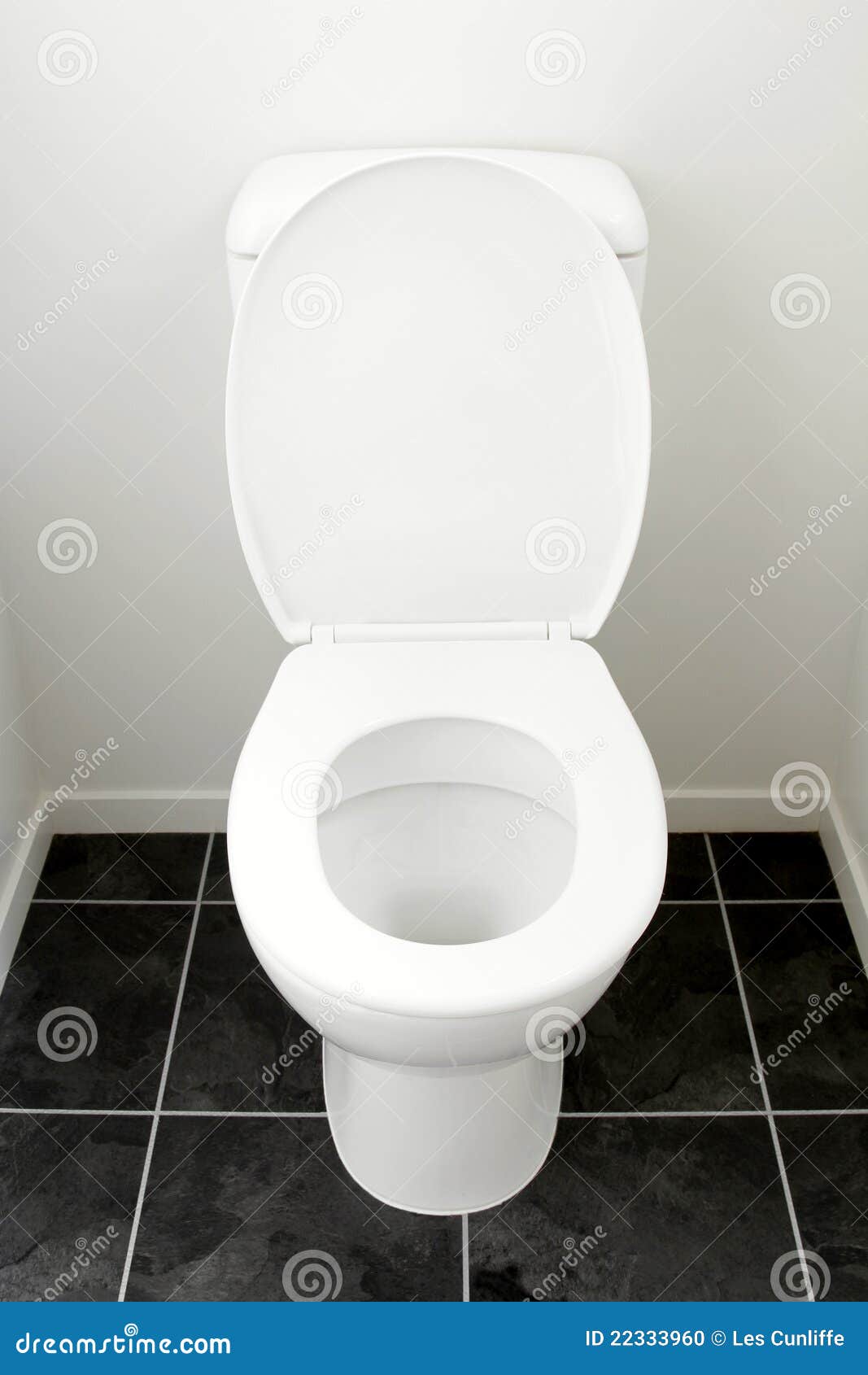 Toilet Stock Photo - Image: 22333960