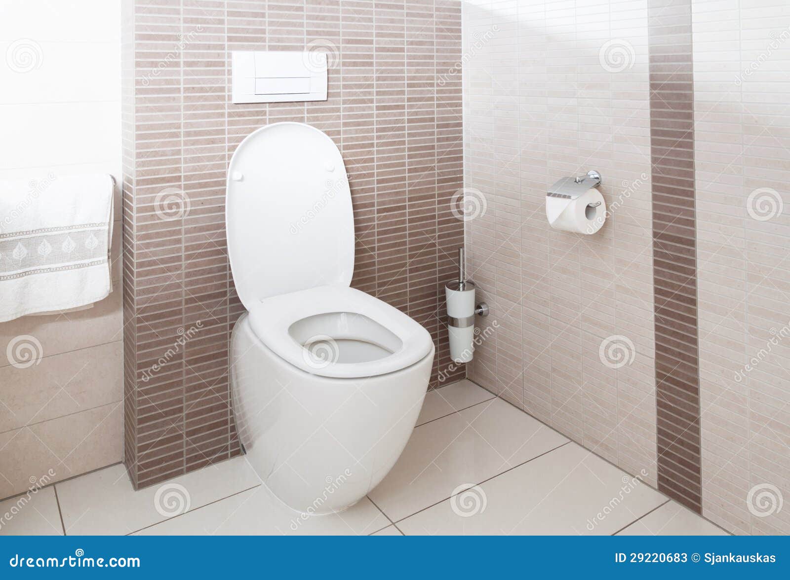 Toilet stock image. Image of paper, bowl, fashionable - 29220683