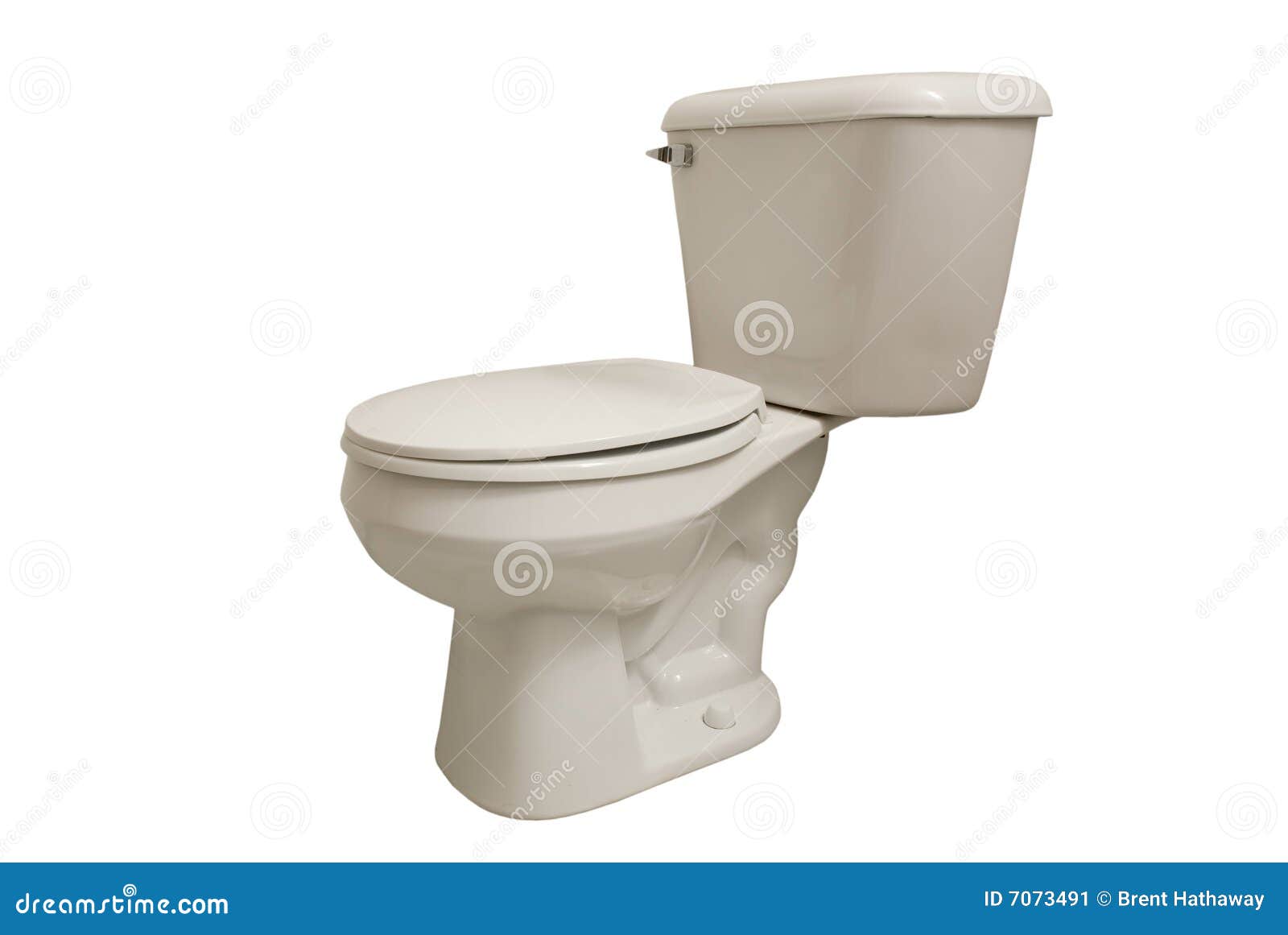 20,485 Toilet Bowl Stock Photos - Free & Royalty-Free Stock Photos from  Dreamstime