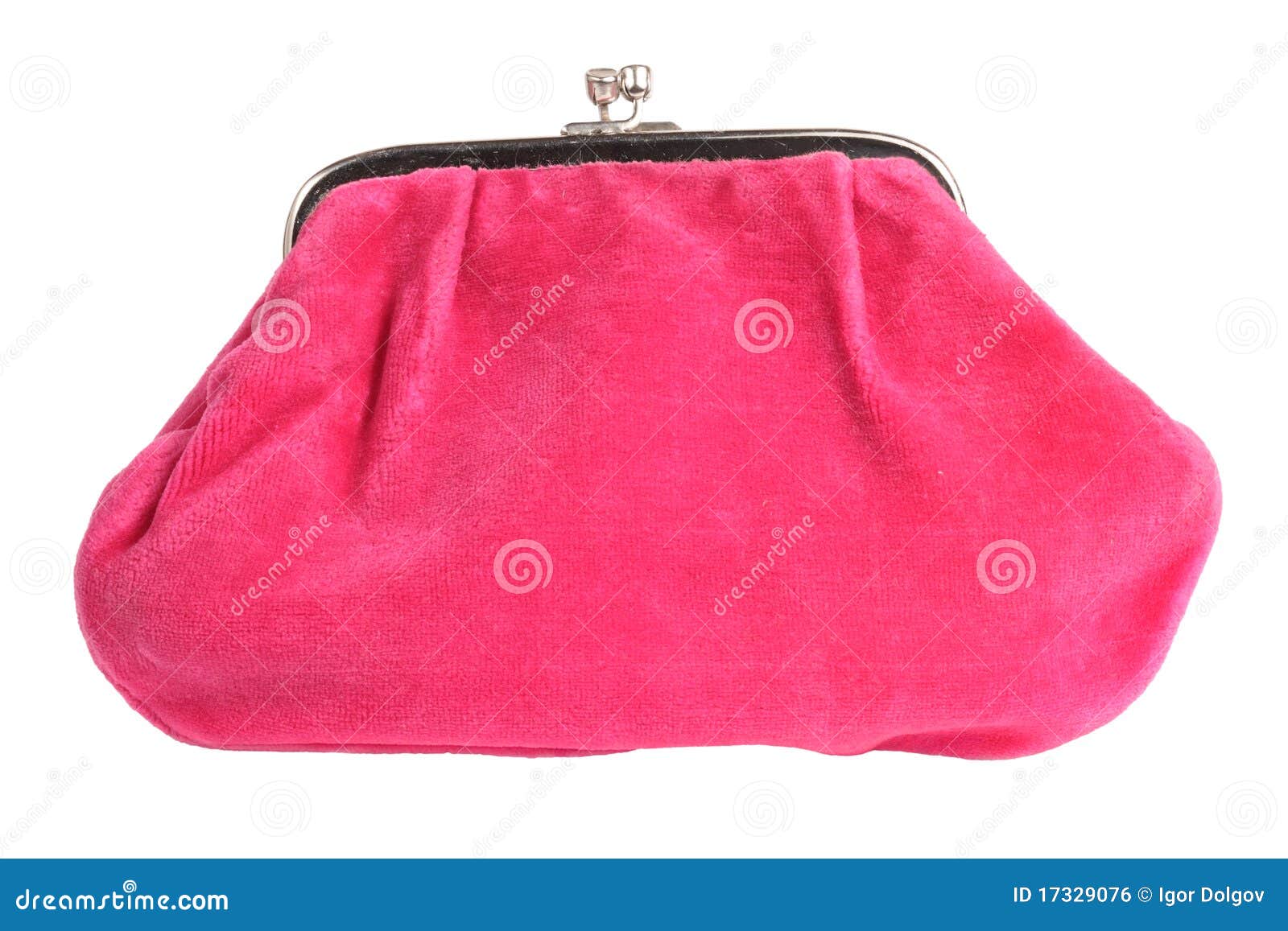 Toilet bag stock photo. Image of rose, fashion, individual - 17329076