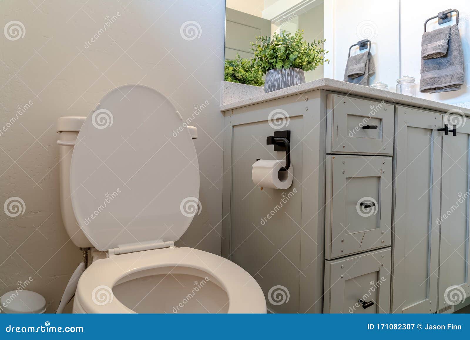 Toilet Beside A Bathroom Vanity With Cabinets White Countertop And Mirror Stock Image Image Of Black Toilet Beside A Bathroom Vanity With Cabinets White Countertop And Mirror Stock Image Image Of Black