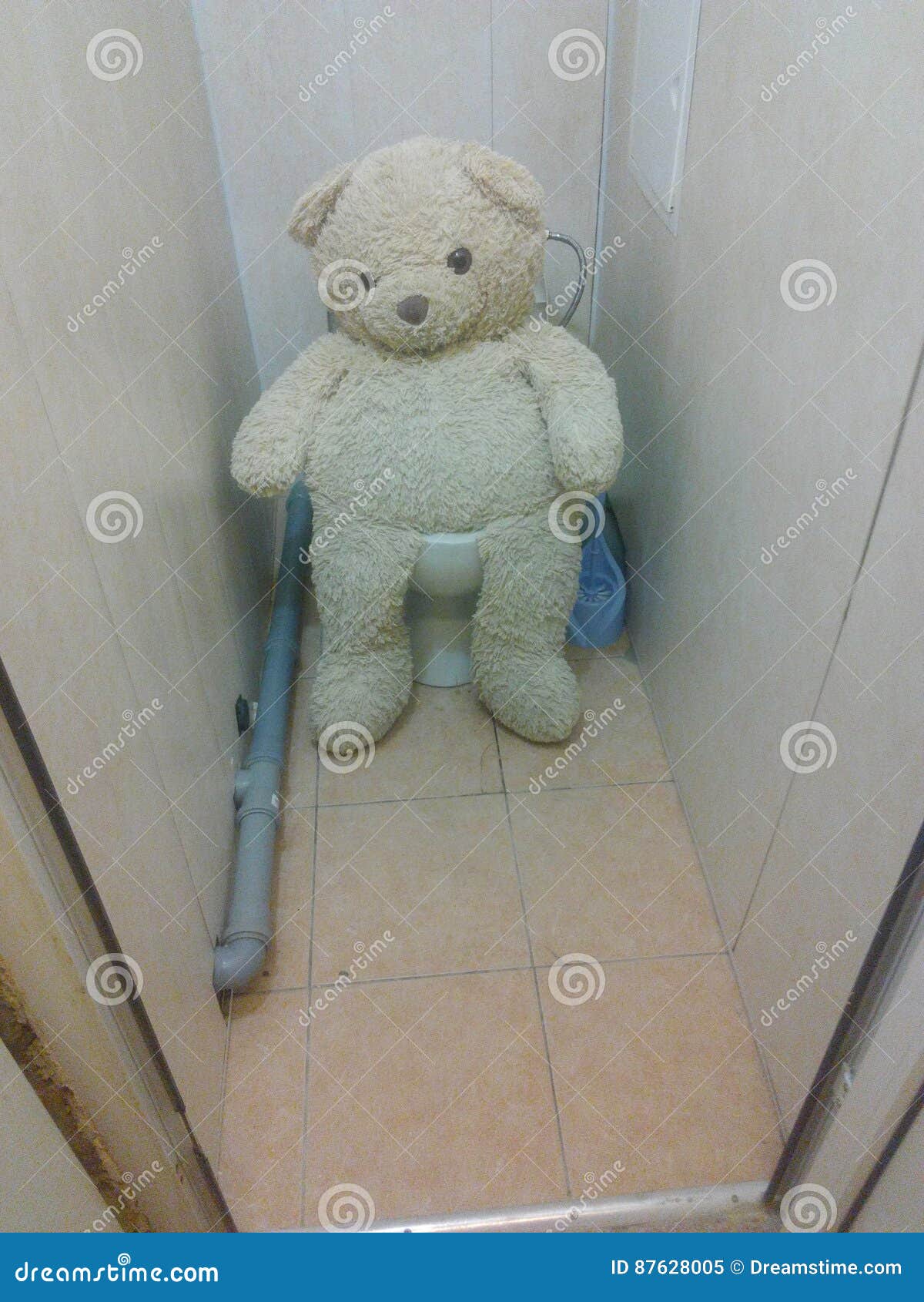 Toilet bear stock image. Image of humour, bear, toilet 87628005