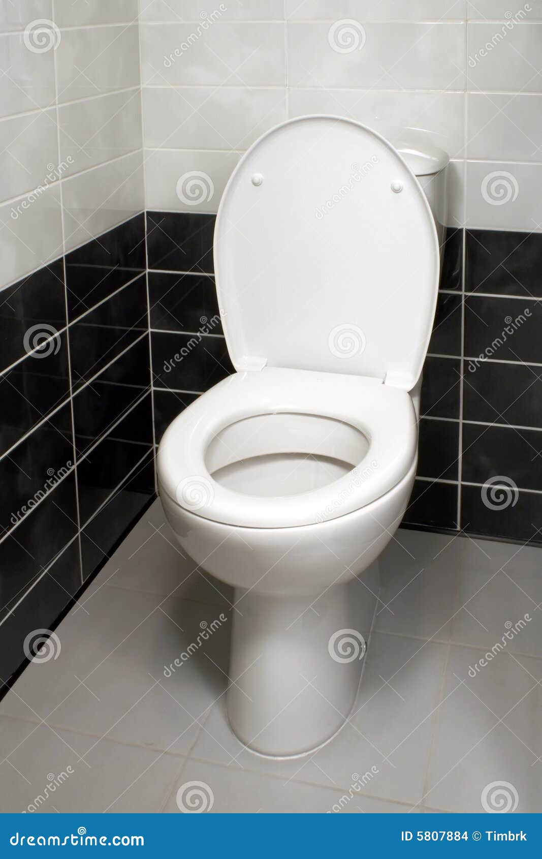 Toilet Bowl With Lid Open Stock Photo, Picture and Royalty Free Image.  Image 39379069.