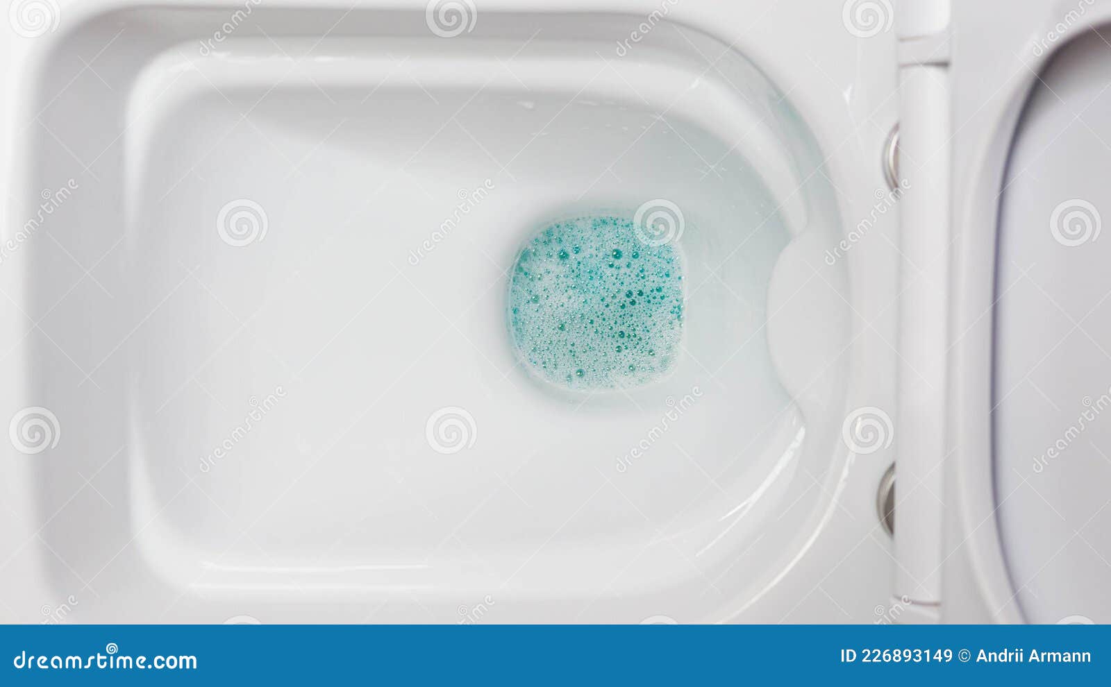 Toilet Bowl Disinfectant, Toilet Cleaning Stock Image Image of