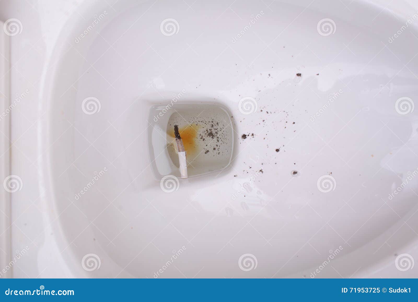 Toilet Bowl with Extinguished Cigarette Stock Image Image of lavatory