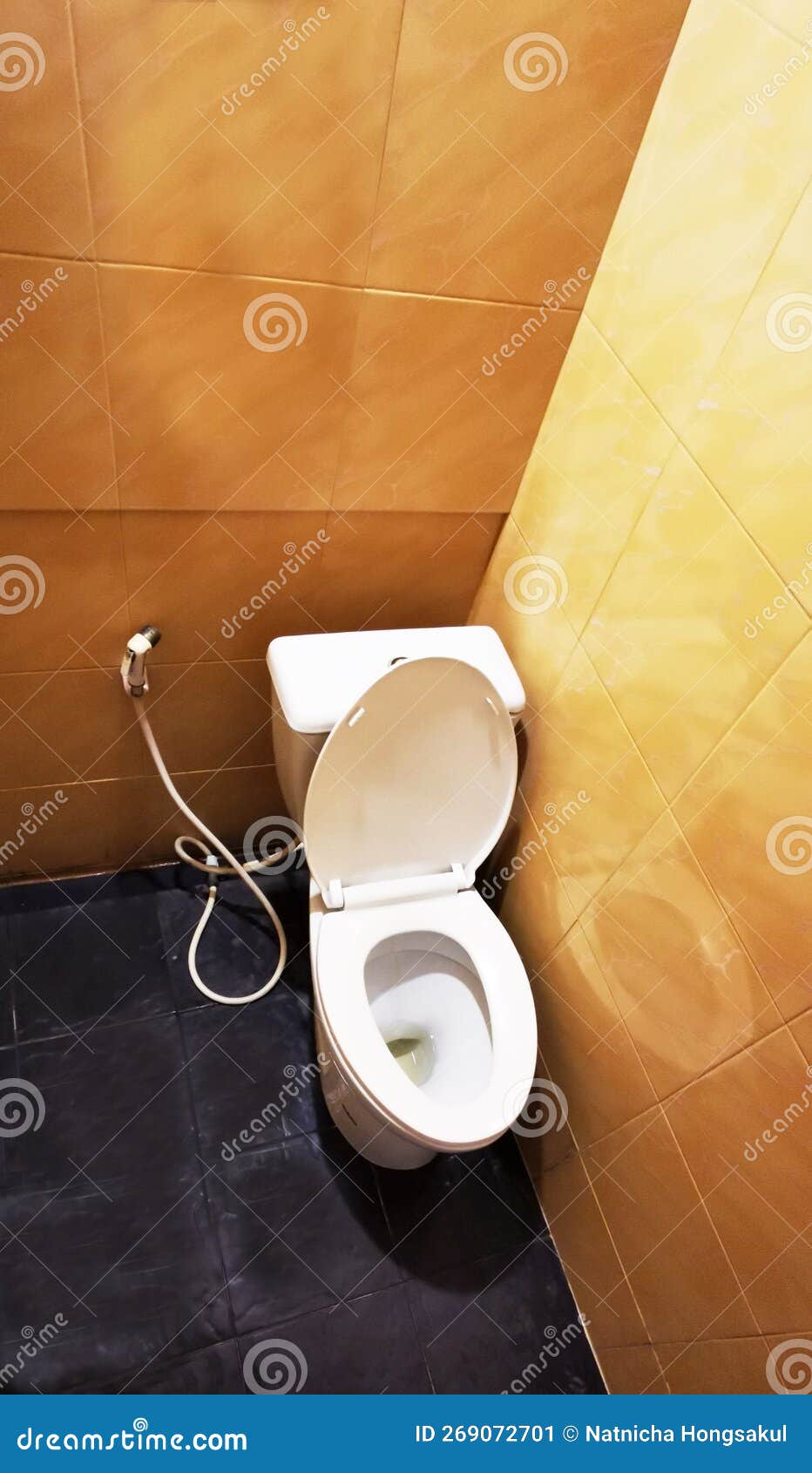 The Toilet Bowl with the Wrong Erection Position Like this, How Will the Left Leg Be Placed