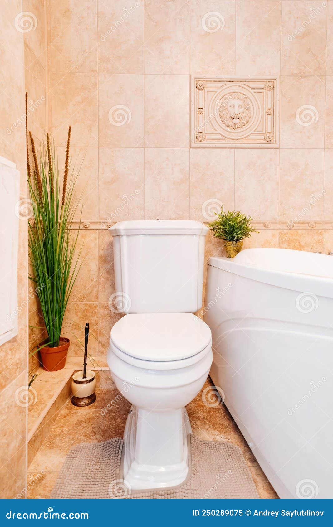 Toilet in Classic Bathroom with Retro Details and Decor. Stock ...