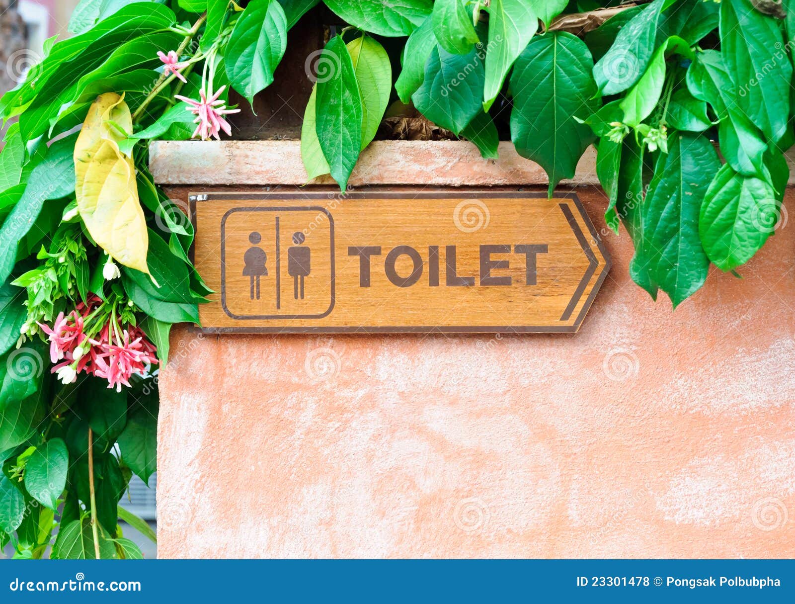 Toilet direction board stock photo. Image of detail, direction 23301478