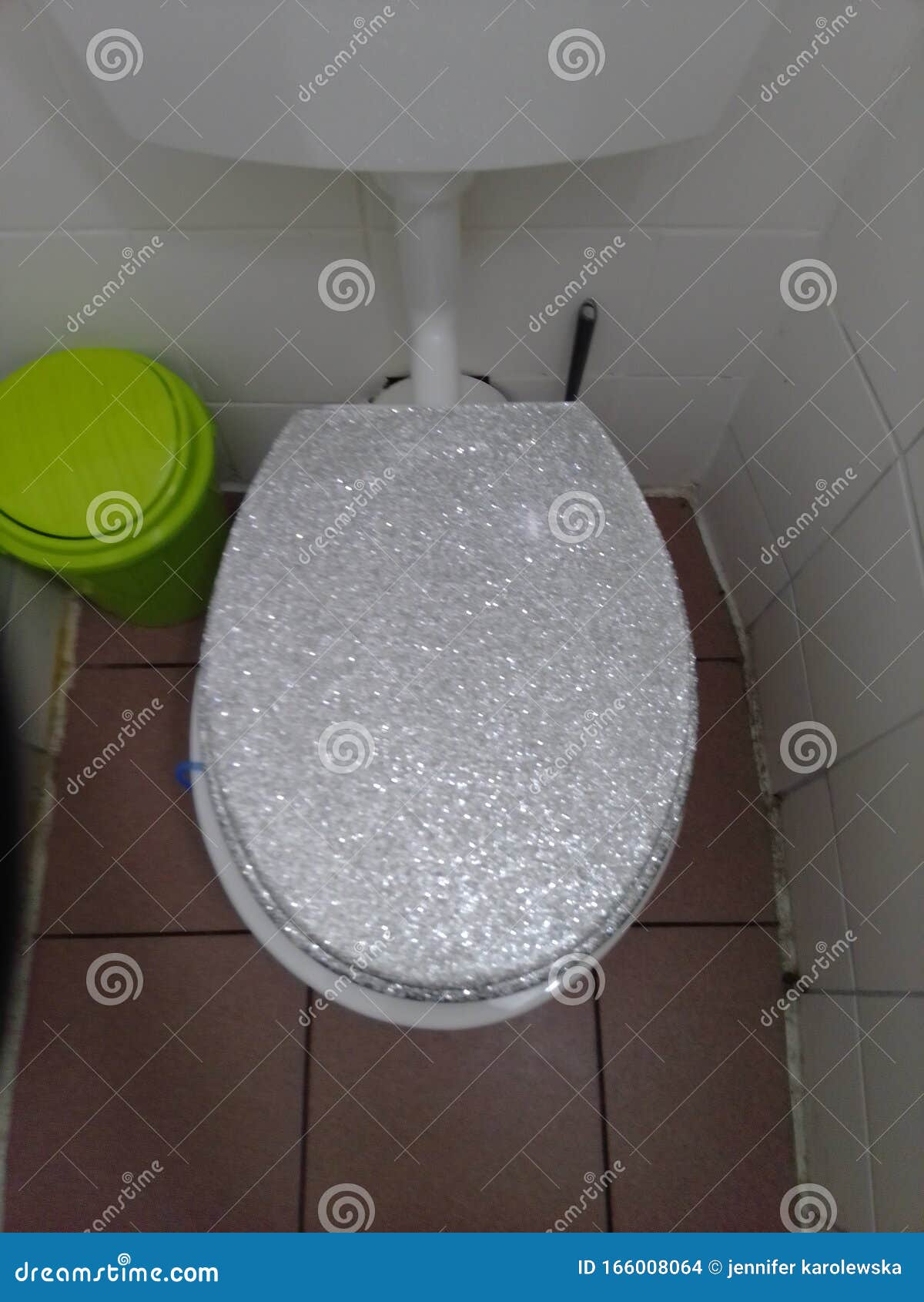 Toilet Glitter Bin Wasted Hygenie Stock Photo Image of toilet, wasted 166008064