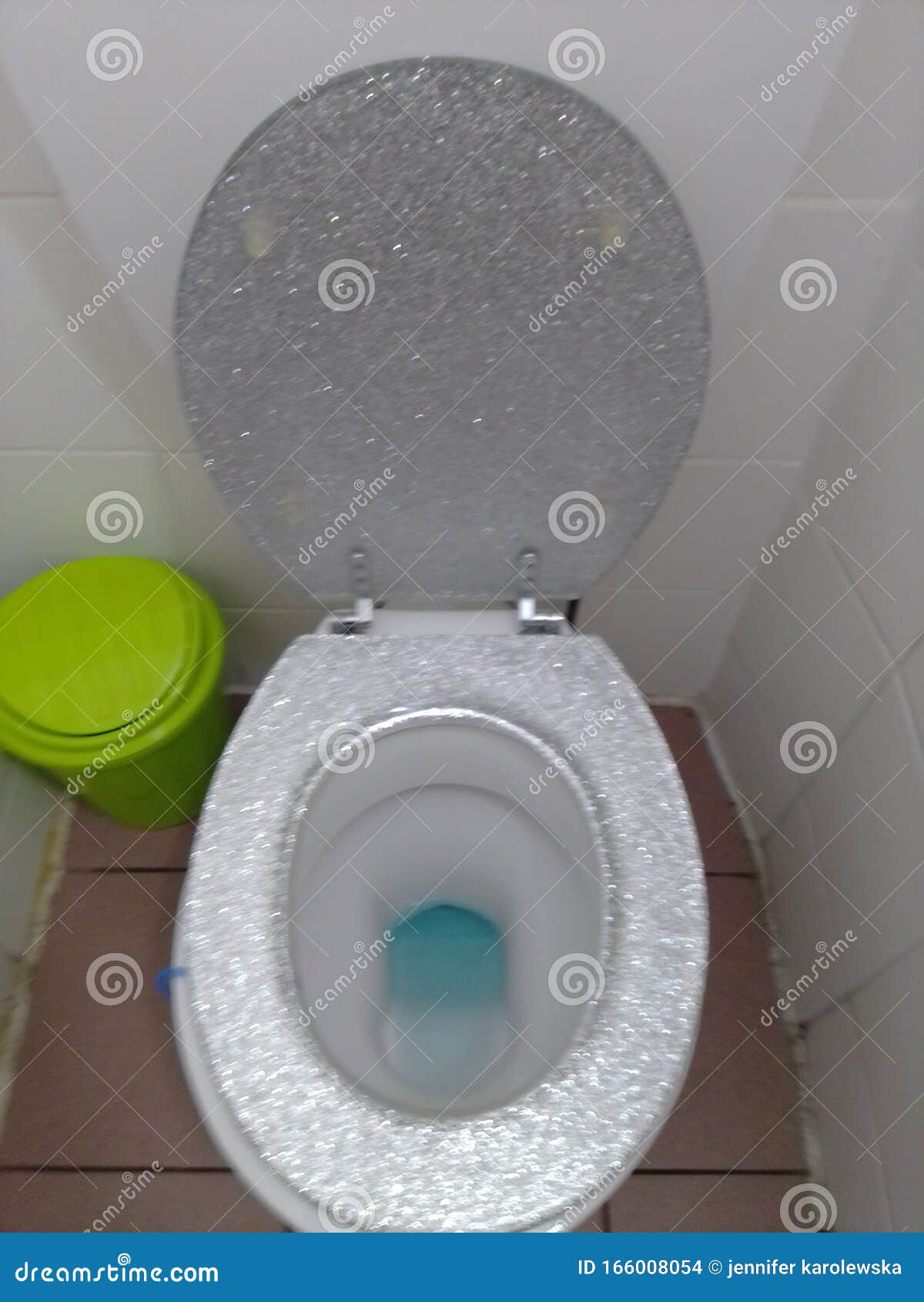Toilet Glitter Hygiene Bin Wasted Stock Photo Image of wasted, glitter 166008054
