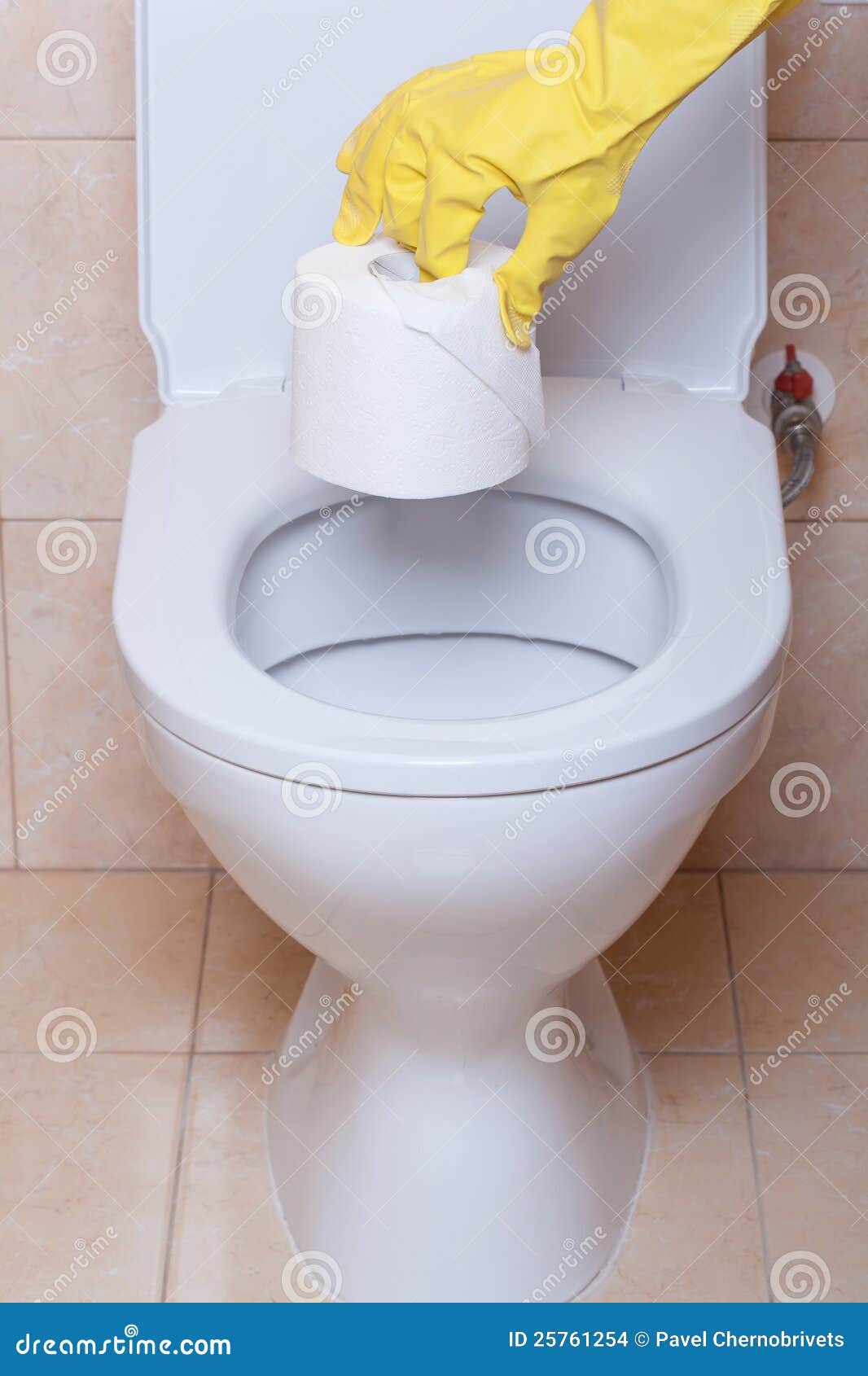 Toilet hygiene concept stock photo. Image of empty, clean 25761254