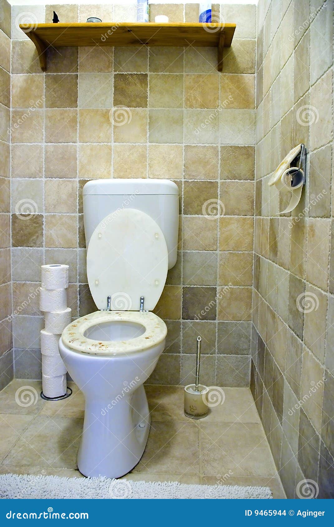 Toilet interior stock photo. Image of tiled, brush, toilet 9465944