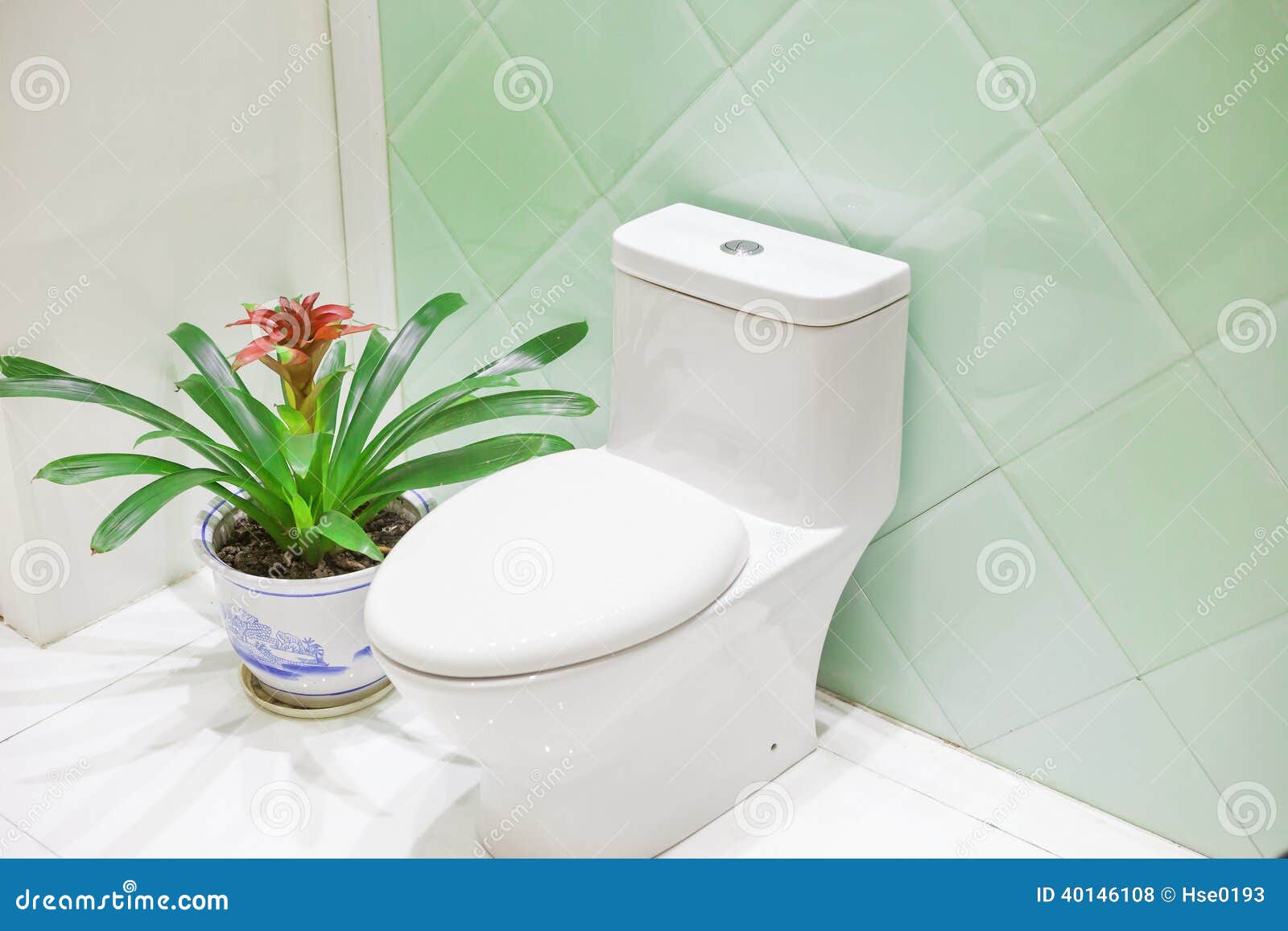 Toilet Stock Photo Image 40146108 Toilet Stock Photo Image 40146108