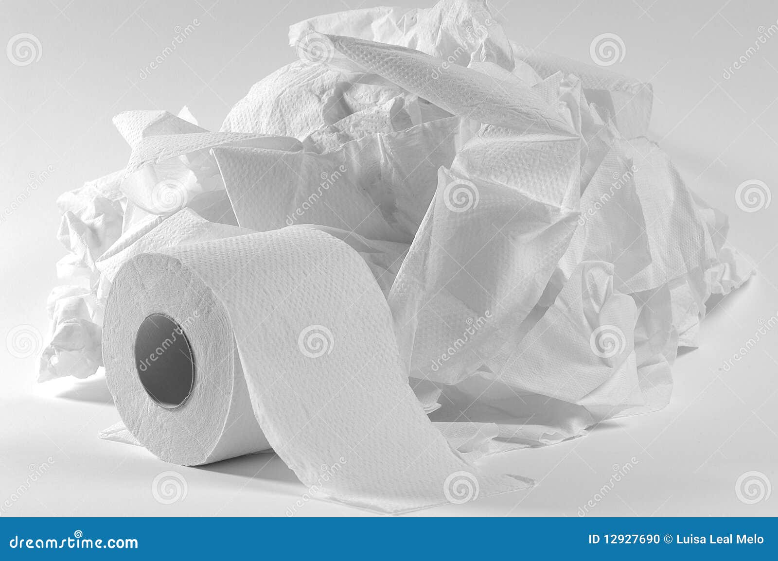 Toilet paper. stock photo. Image of hygiene, household 12927690