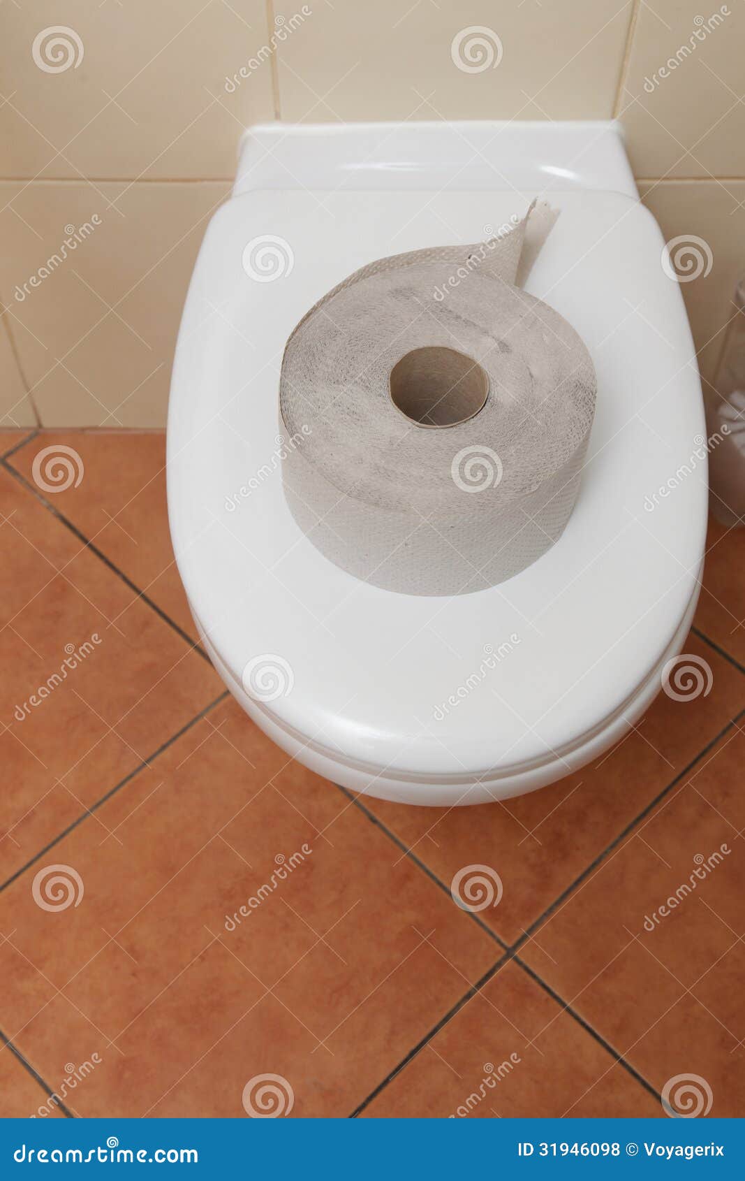 Toilet paper in bathroom stock photo. Image of bowl, toilet 31946098