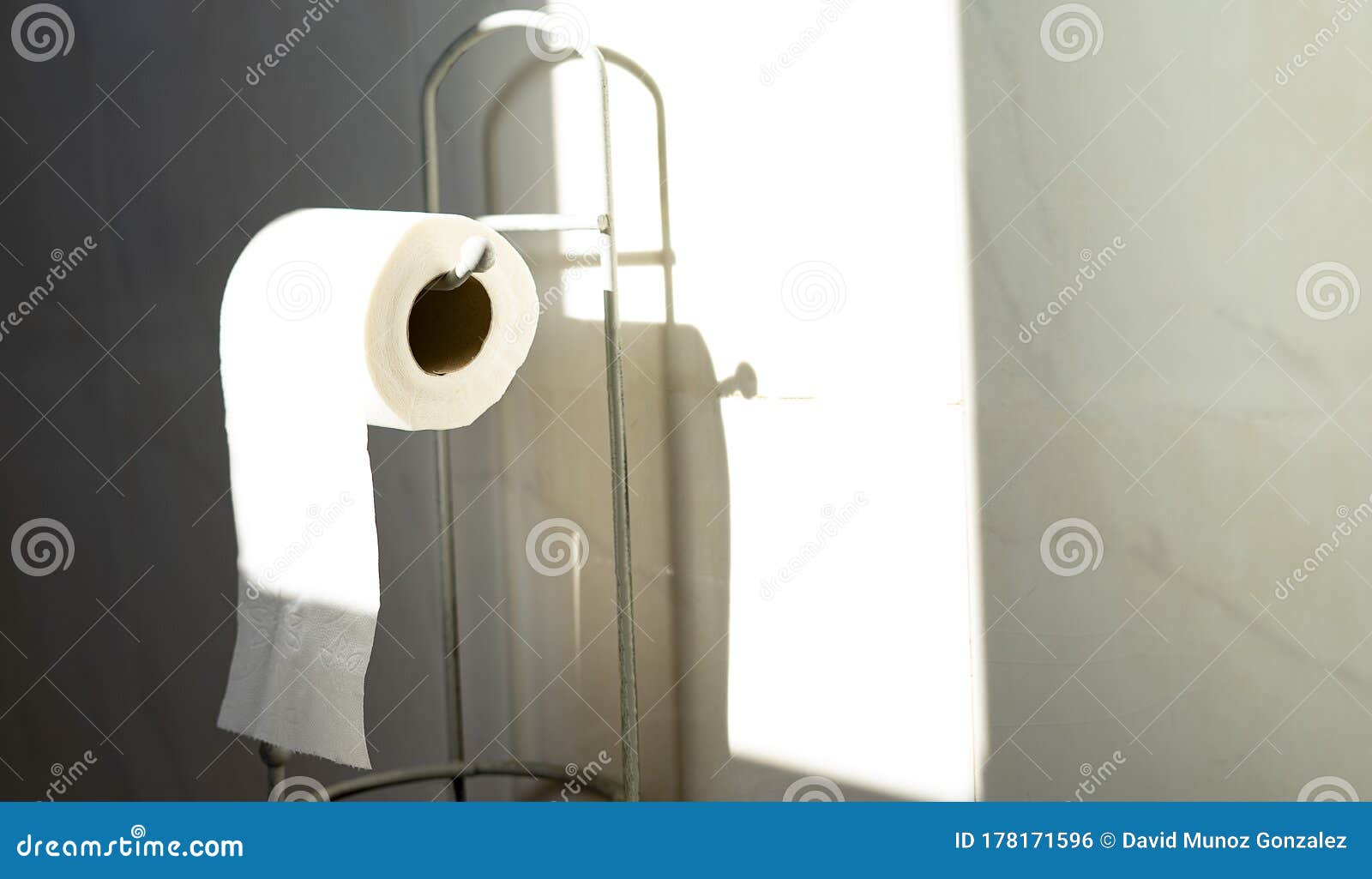 toilet paper in the bathroom with sunlight