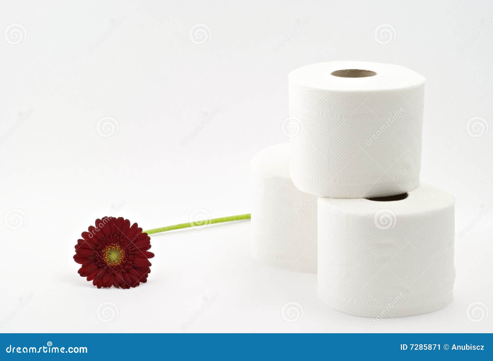 Toilet paper with flower stock image. Image of dainty 7285871