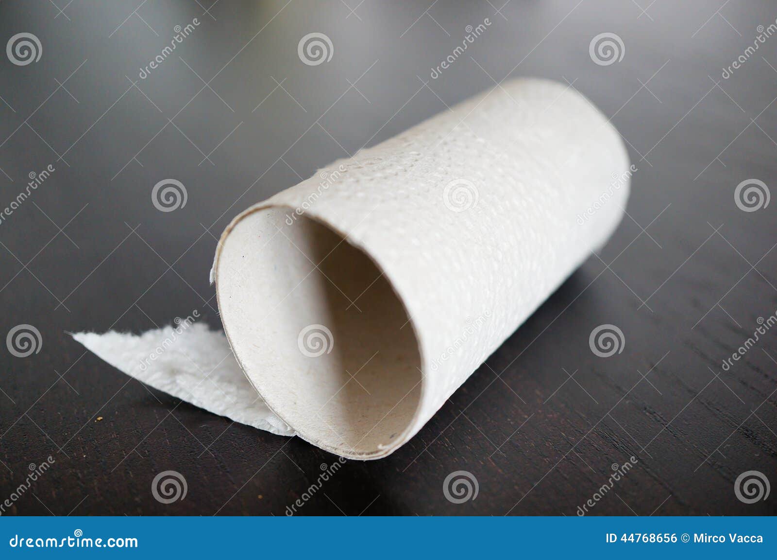 Toilet paper roll stock photo. Image of object, used 44768656