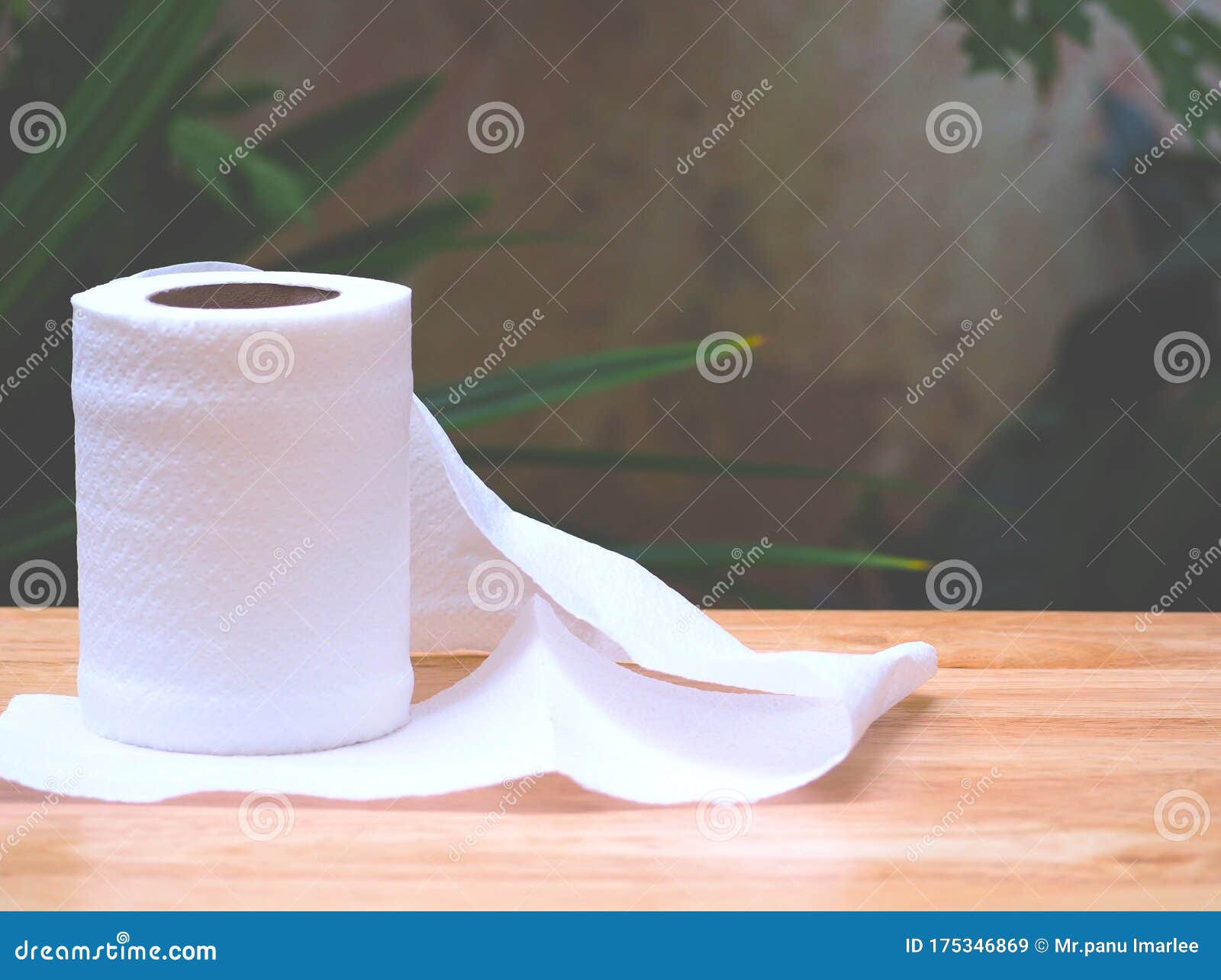 Toilet Paper on Table in the Garden Stock Image - Image of background ...