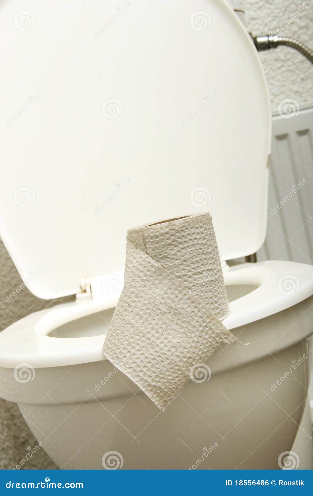 Toilet Paper on Water Closet Stock Photo Image of bathroom, water 18556486