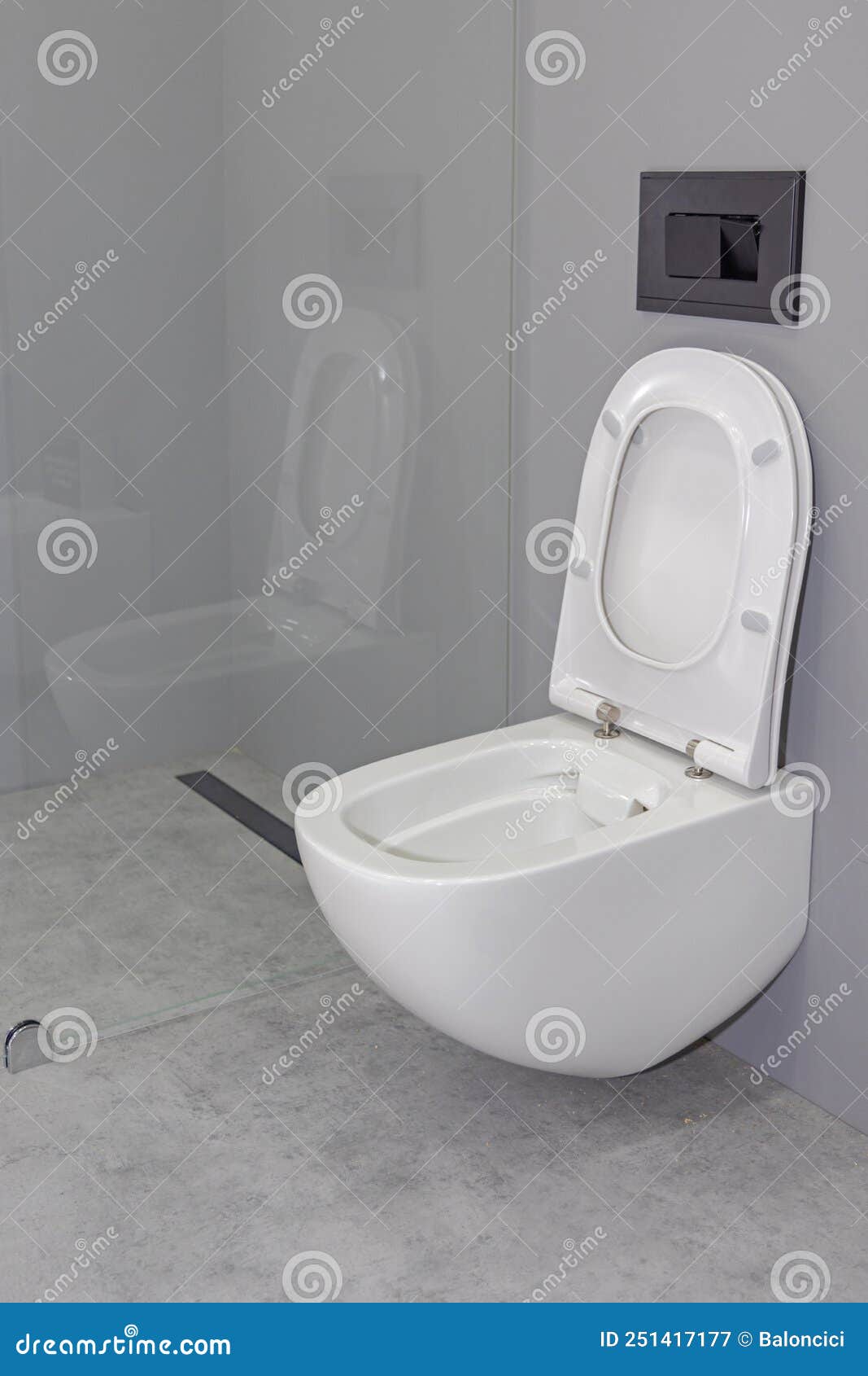 Toilet Seat Open stock image. Image of white, house 251417177