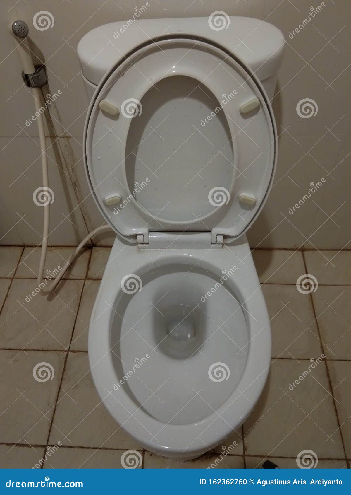 Image: Close-up of toilet with seat up - EWA Stock Photo 