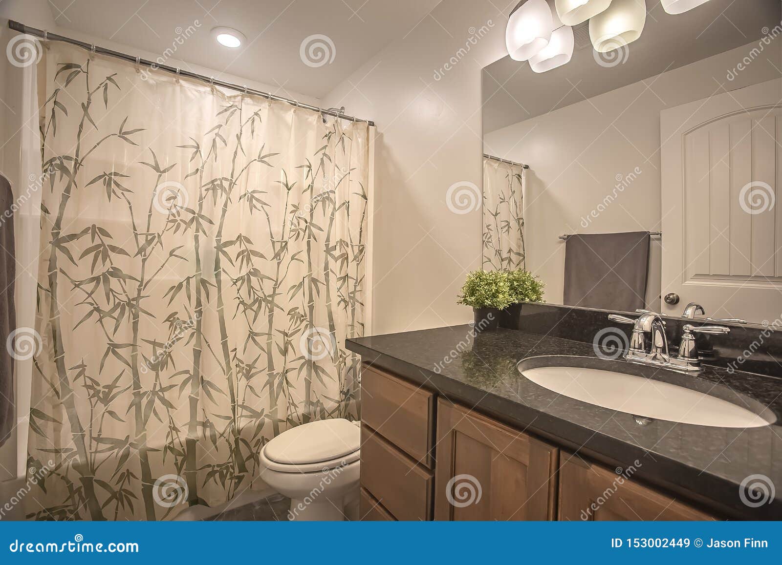 Toilet And Vanity Area Inside The Bathroom Of A Home With White